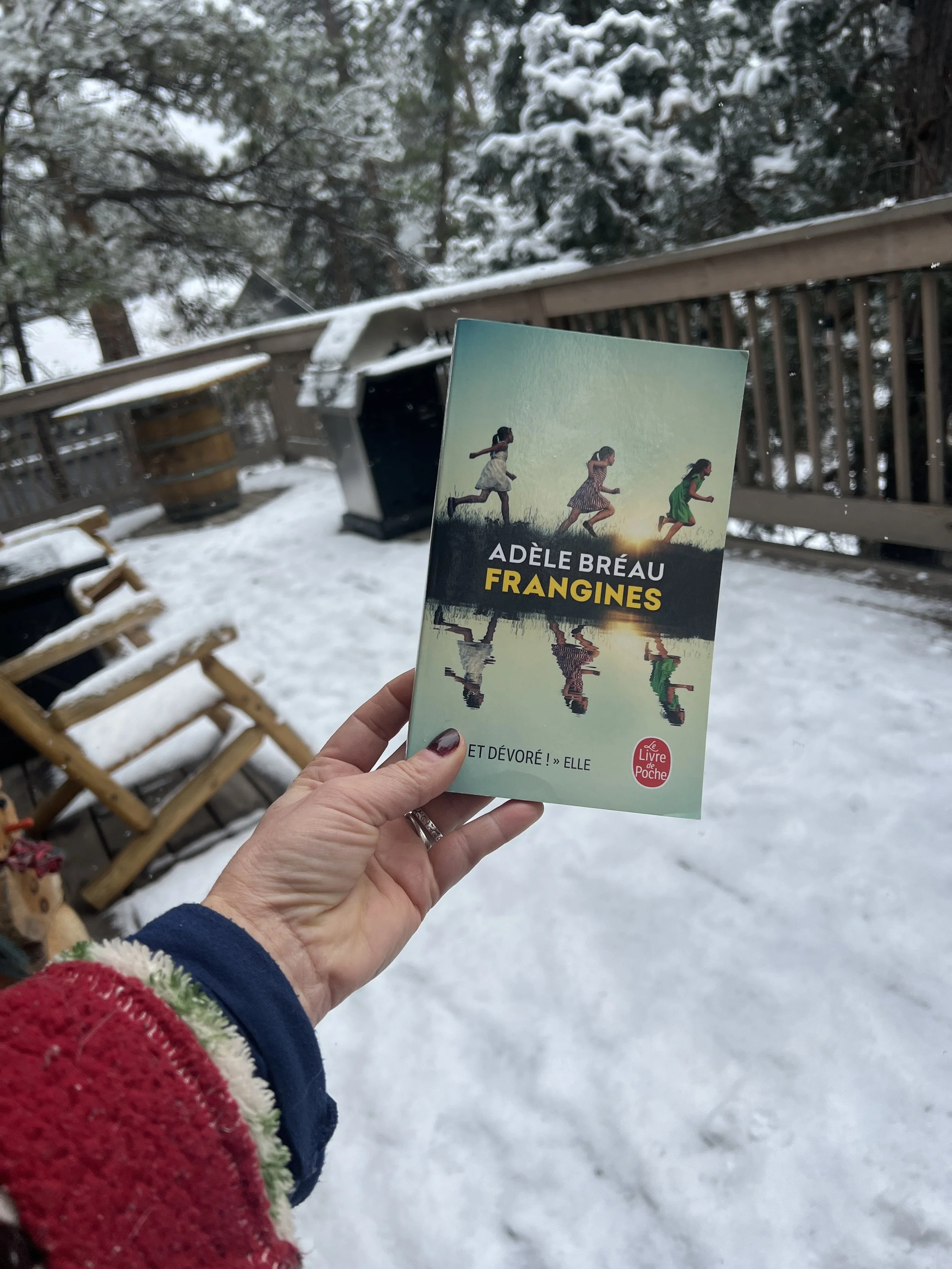 Lecture : "Frangines" d'Adèle Bréau – Untourbillon d'émotions en famille