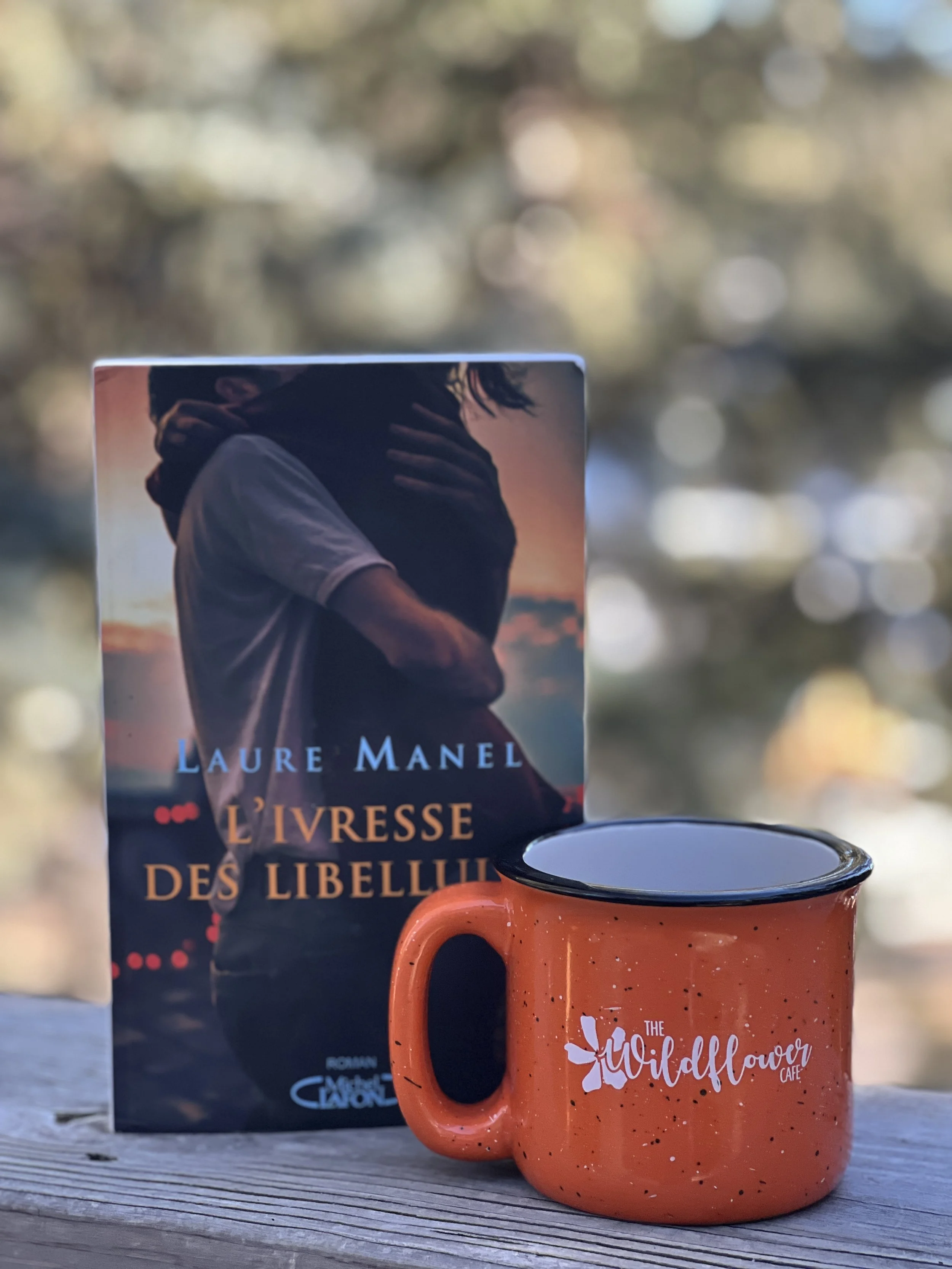 L'Ivresse des libellules est un roman de Laure Manel