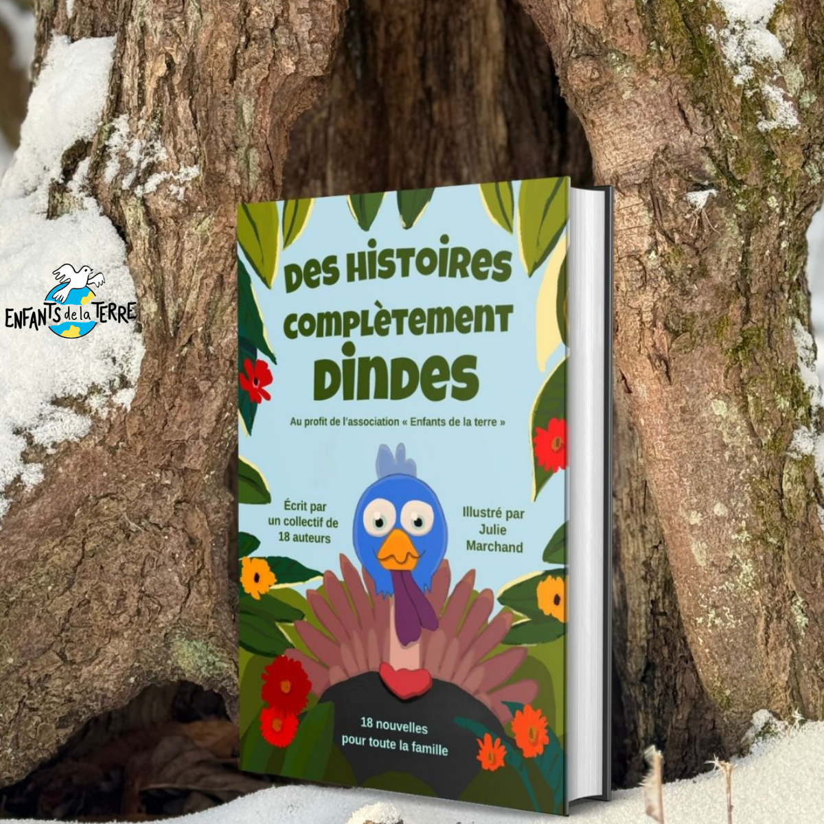 A colorful children's book titled "Des Histoires Complètement Dindes" leaning against a tree trunk in a snowy outdoor setting, with the cover illustration featuring a cartoon turkey and decorative flowers.