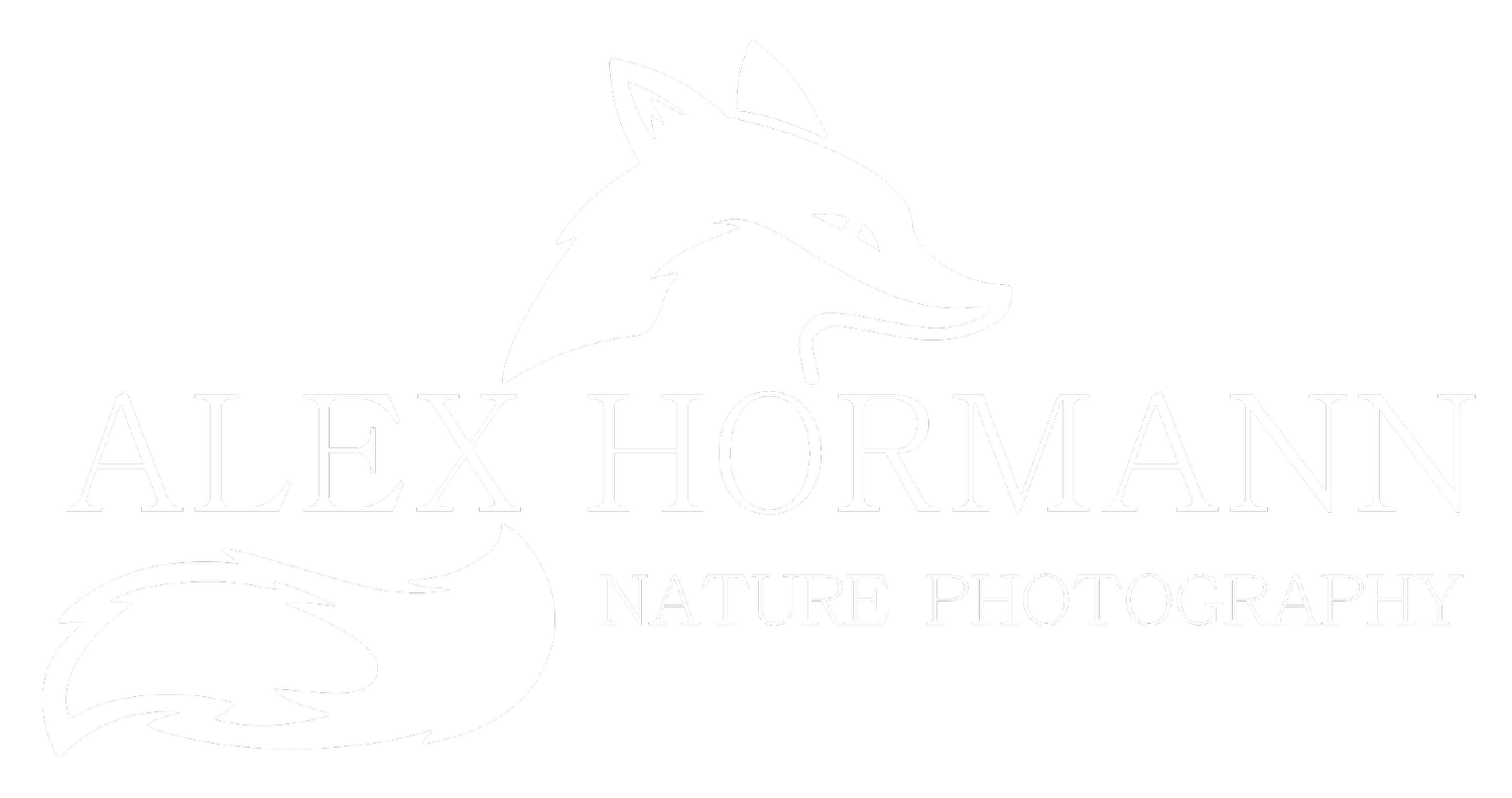 Alex Hormann Nature Photography