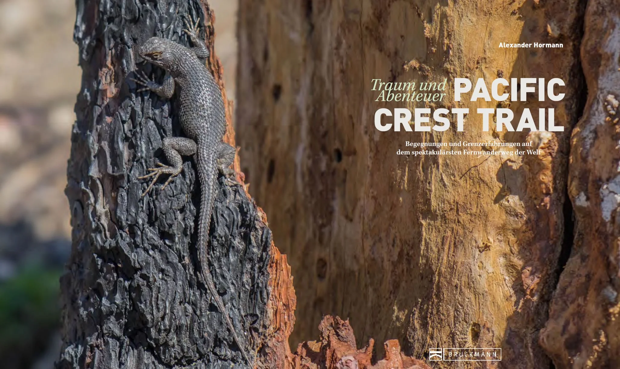 Buch Traum und Abenteuer Pacific Crest Trail_Haupttitel