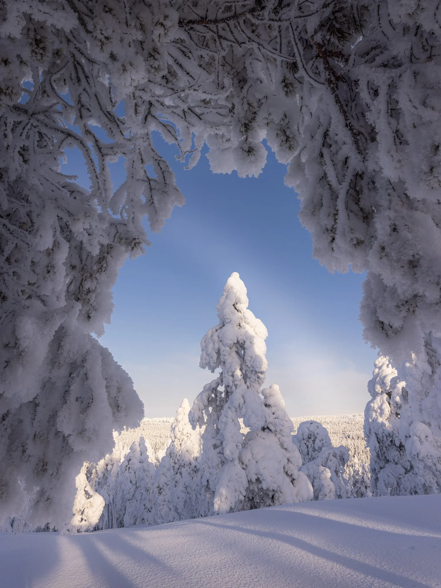 Winter im finnischen Lappland_winter in finnish lapland