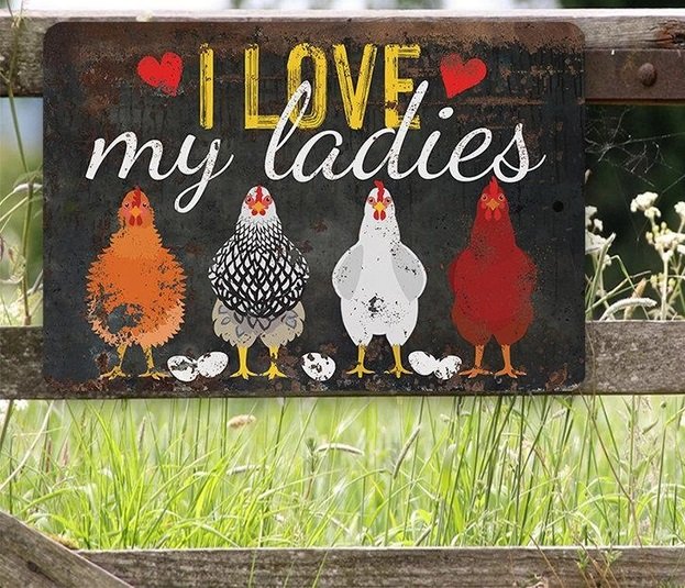 Metal Sign - I Love My Ladies