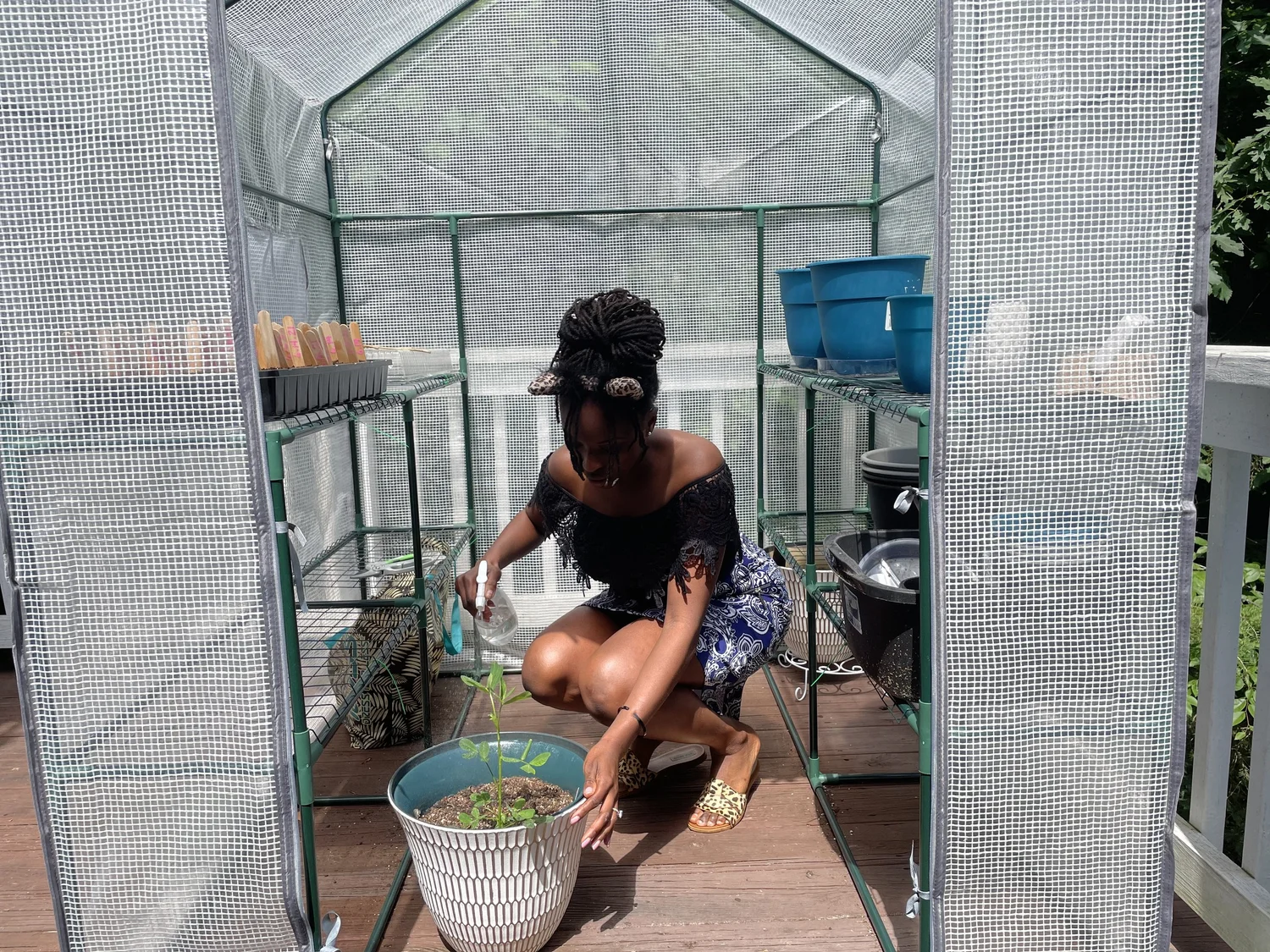Community greenhouse initiative promoting sustainable communities