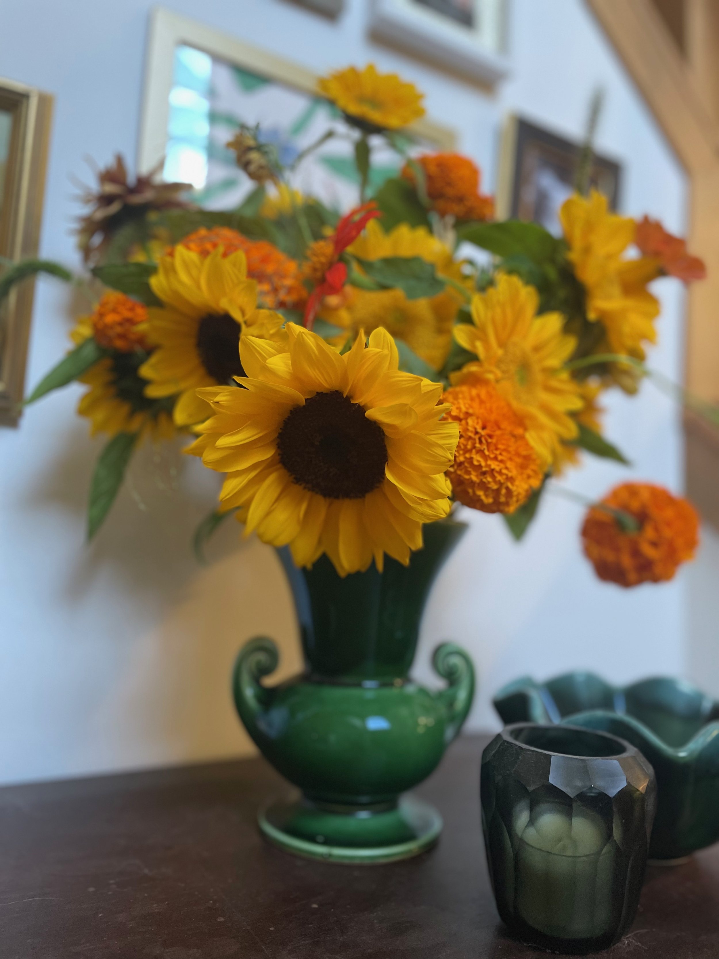 IMG_6040.jpeg