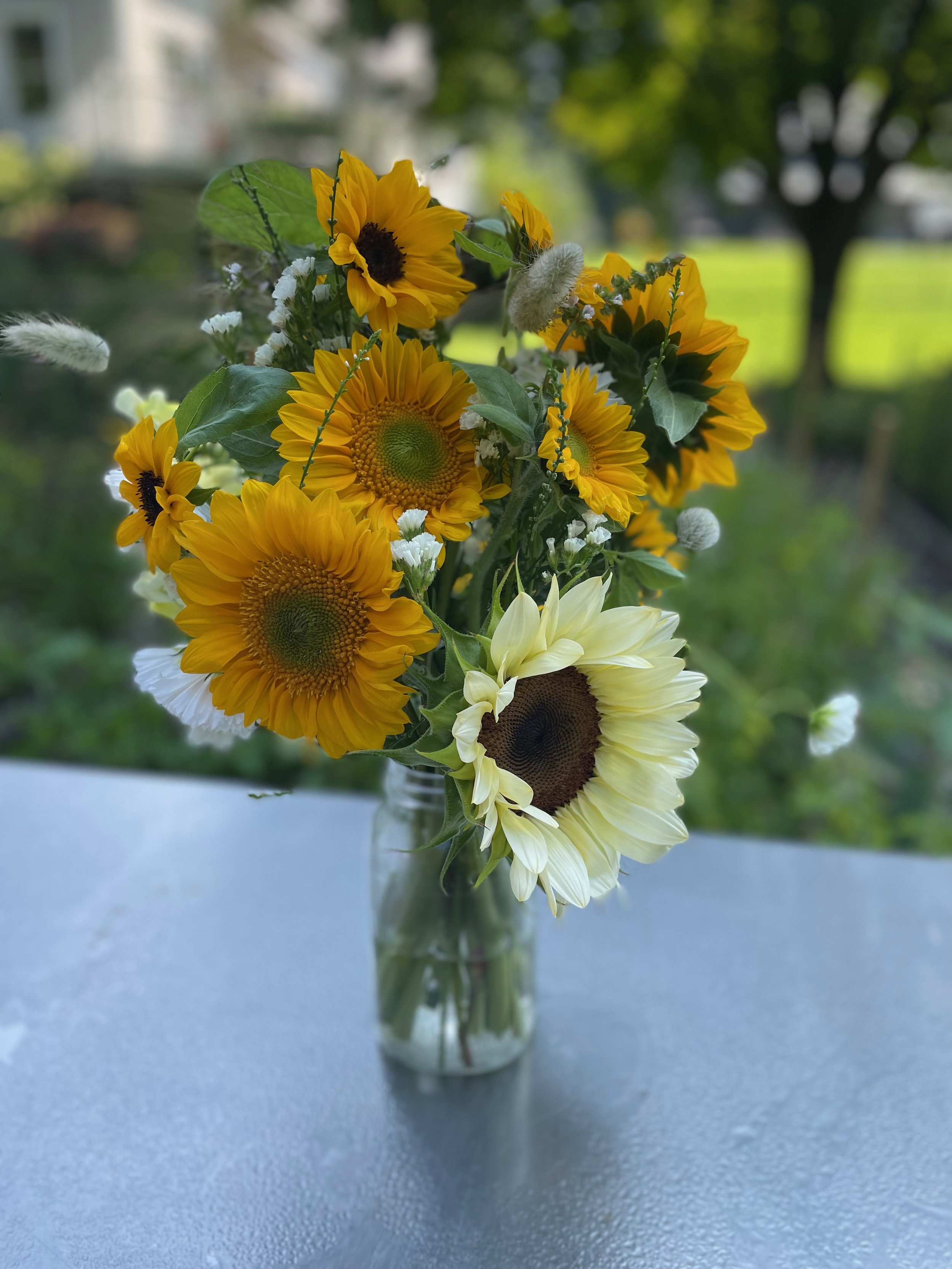 IMG_5601.jpeg