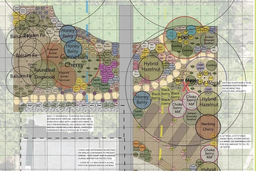 detailed professional landscape plan showing native plants and edible landscaping design