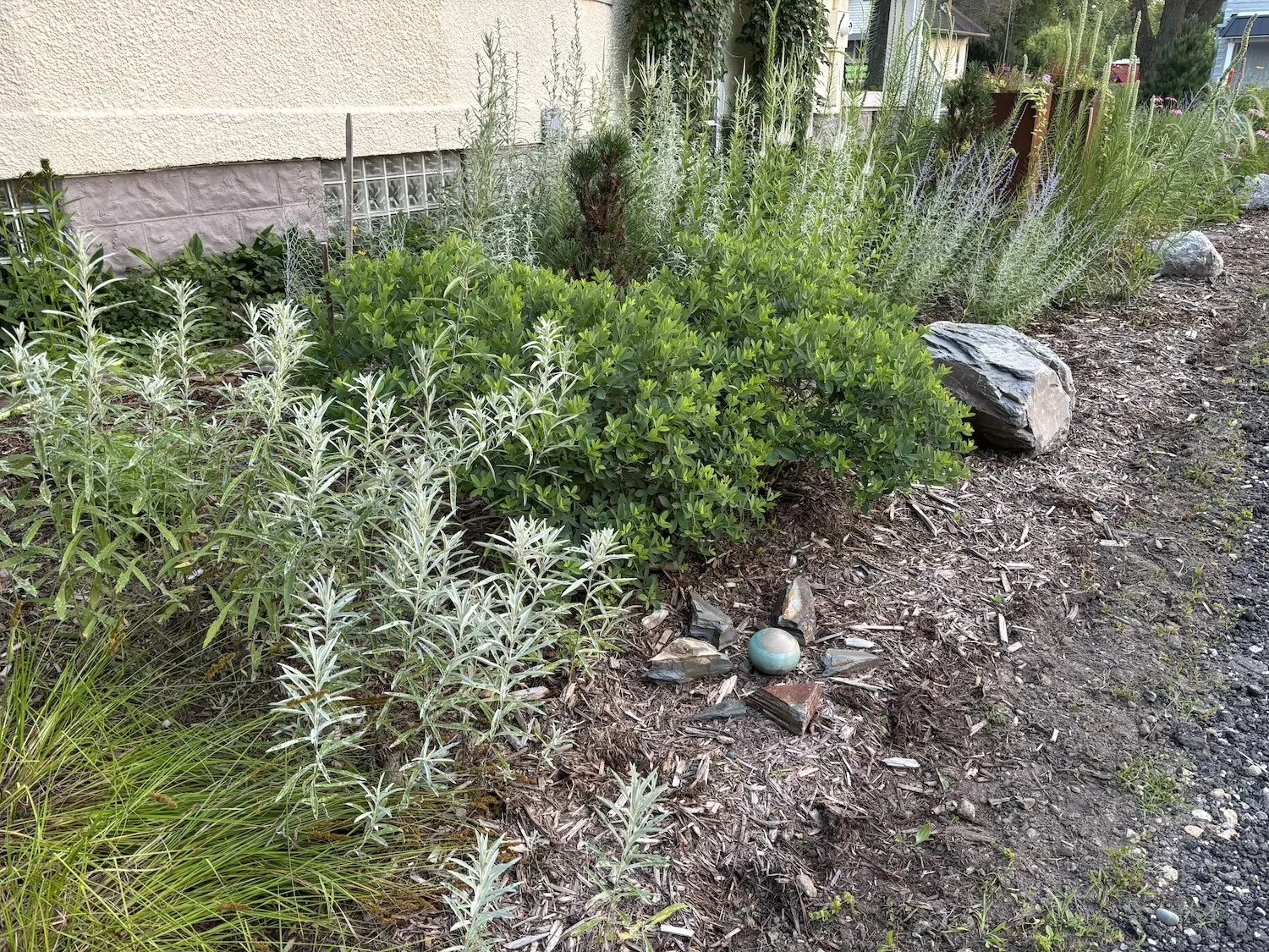 Rustic native perennial garden, textural foliage with natural boulders, year round seasonal bloom interest