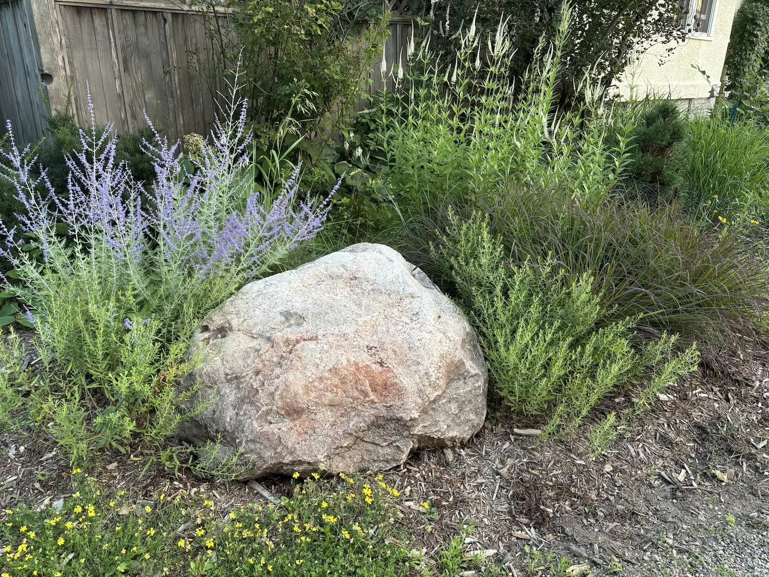 Curb Appeal Native Perennial Garden