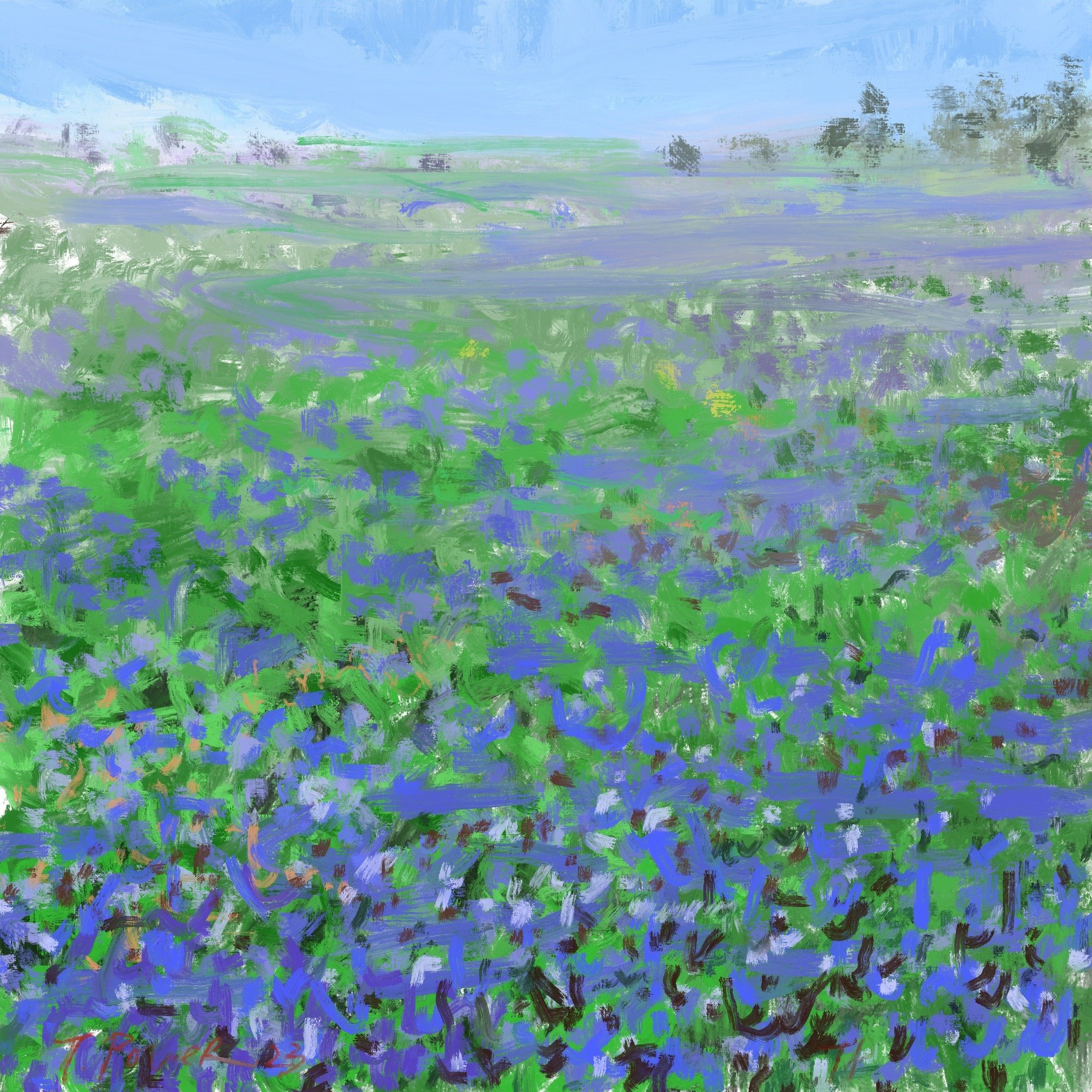 Blue Bonnets of Austin