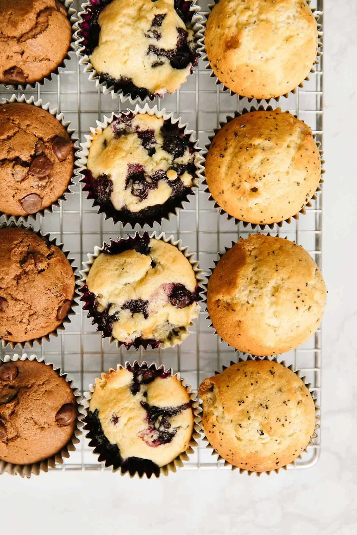 basic-muffin-recipe-1.jpg