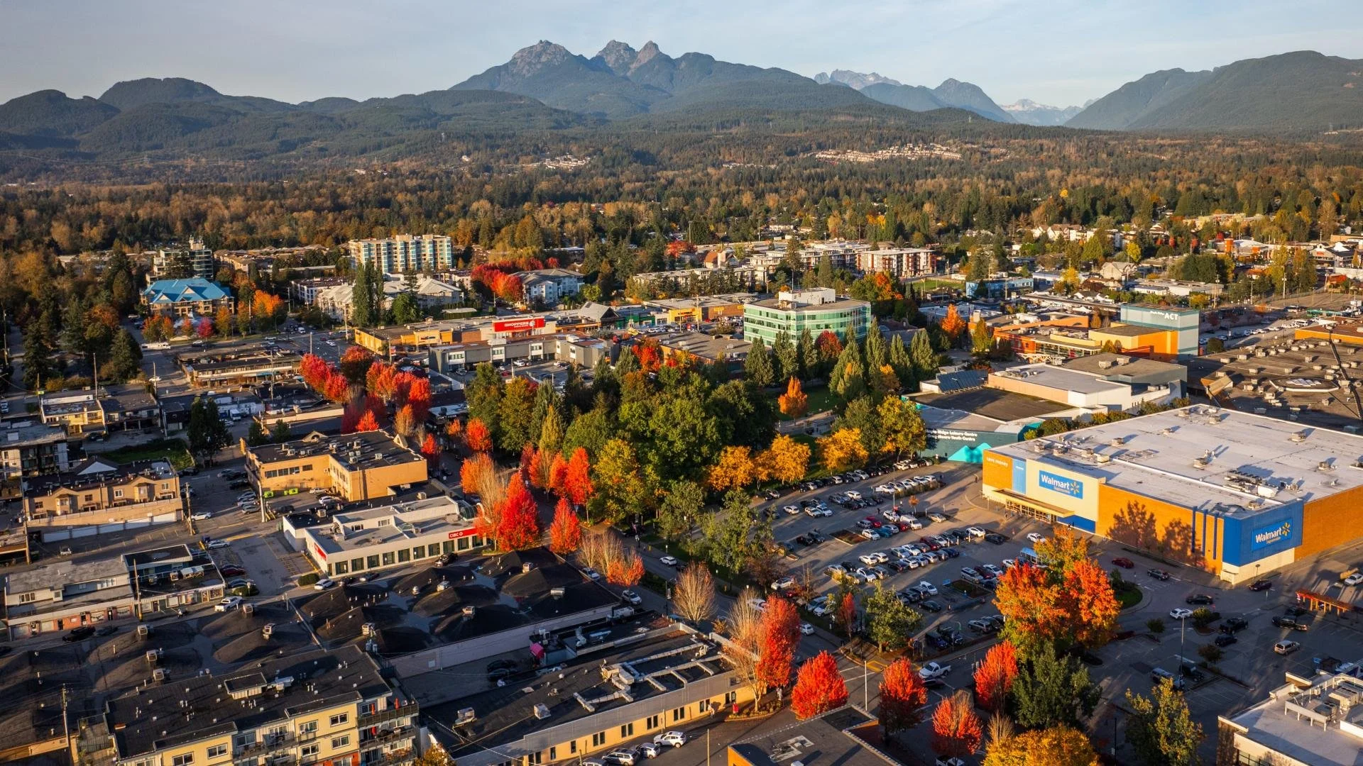 Aerial view of the City of Maple Ridge. Autumn trees, residential and commercial buildings, forest and mountains in the background.