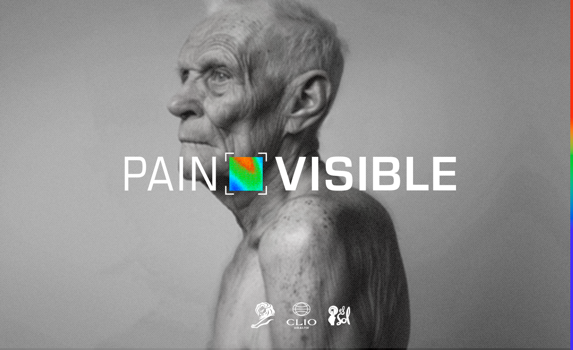 PainVisible