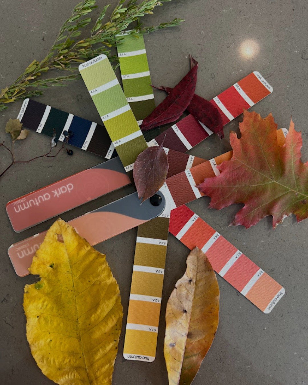 Color harmony straight from nature. 🍁

When your personal colors align with that same natural harmony, your style feels effortless.

🎨 Discover the palette that mirrors your natural beauty. Book your personal color analysis this season.
