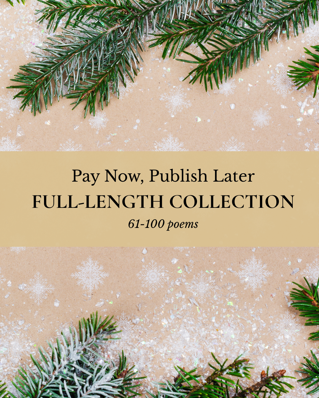 Pay Now, Publish Later (5).png
