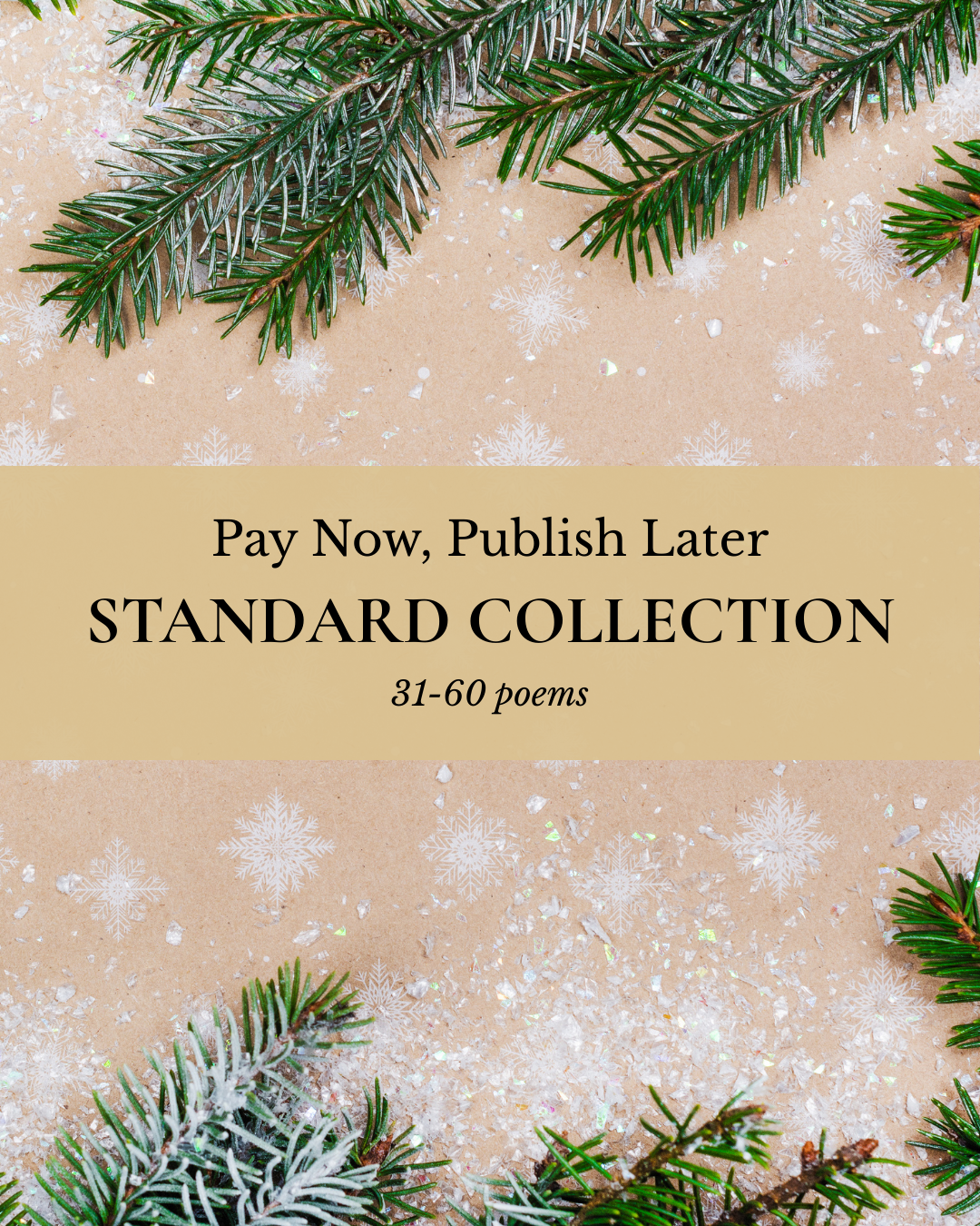 Pay Now, Publish Later (6).png