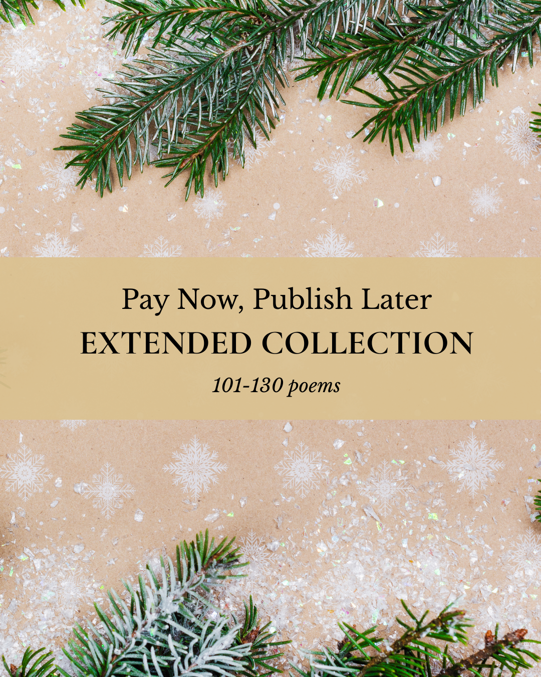 Pay Now, Publish Later (4).png