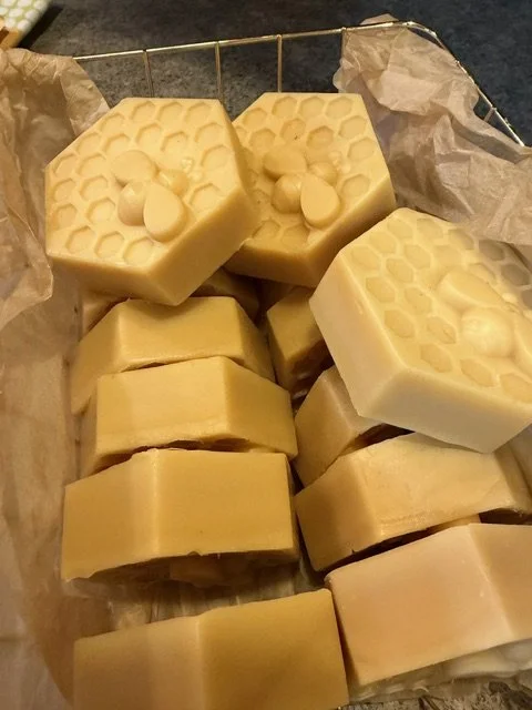 Drafts & Crafts:  Beeswax Wrap and Bag