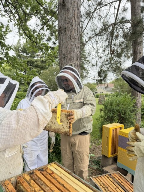 Hive Dive 