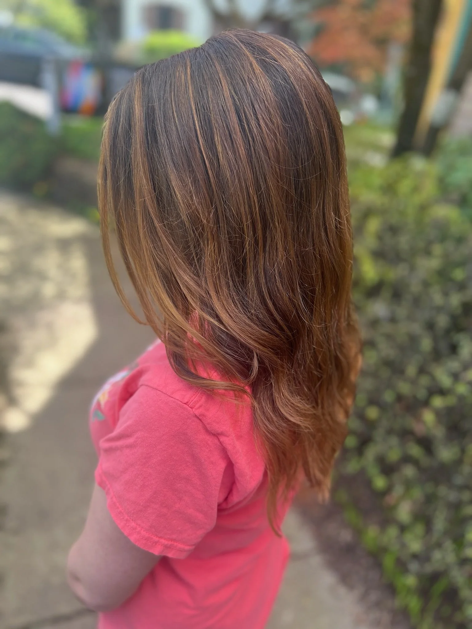 Balayage and Gloss