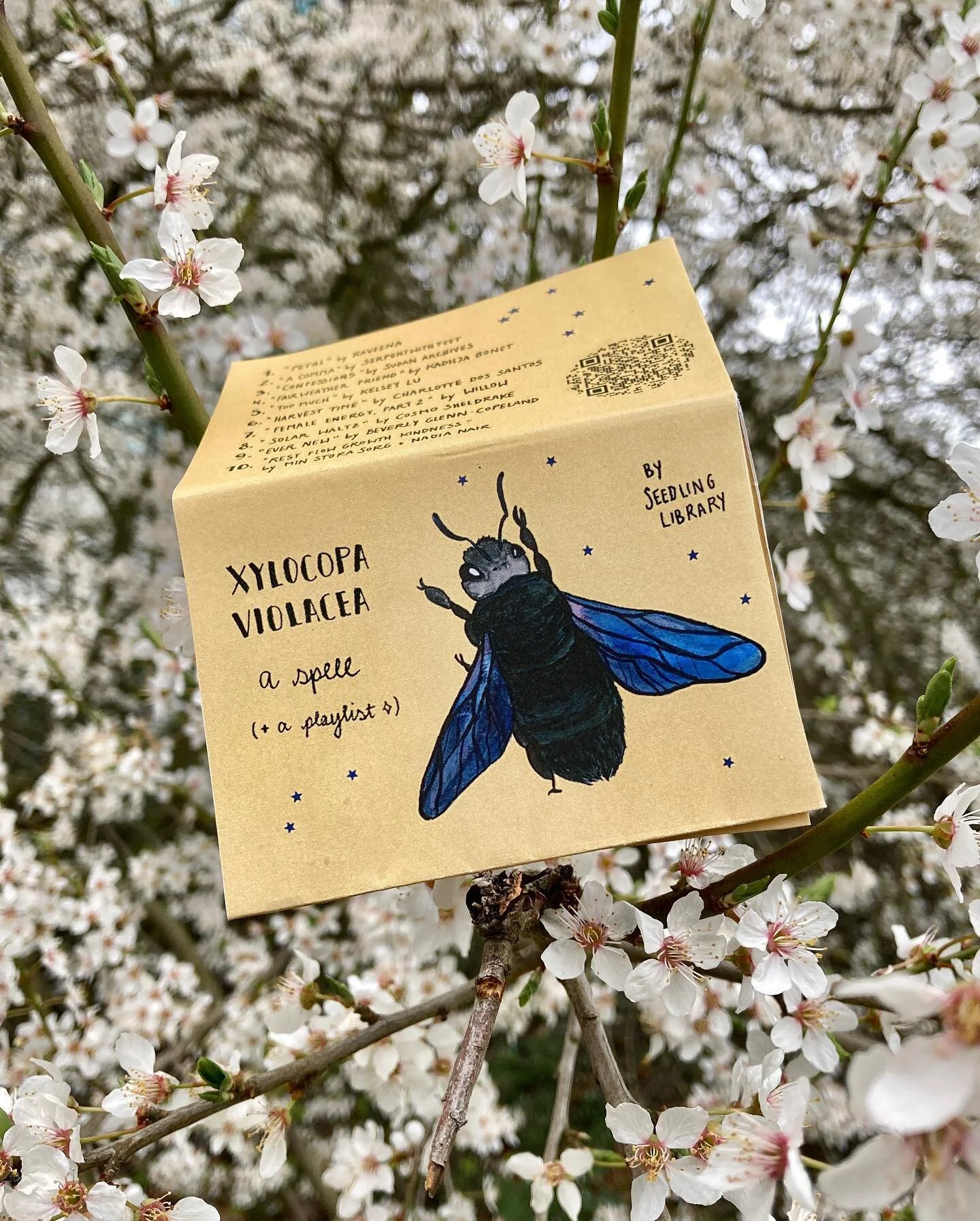 xylocopa violacea 🐝🧚&zwj;♂️💫

A spell (and a playlist!) about the healing powers of the violet carpenter bee 🥰

A love poem to my all time favourite bee!! This one is both new and old - a version of this poem, playlist and visual appeared in @swe