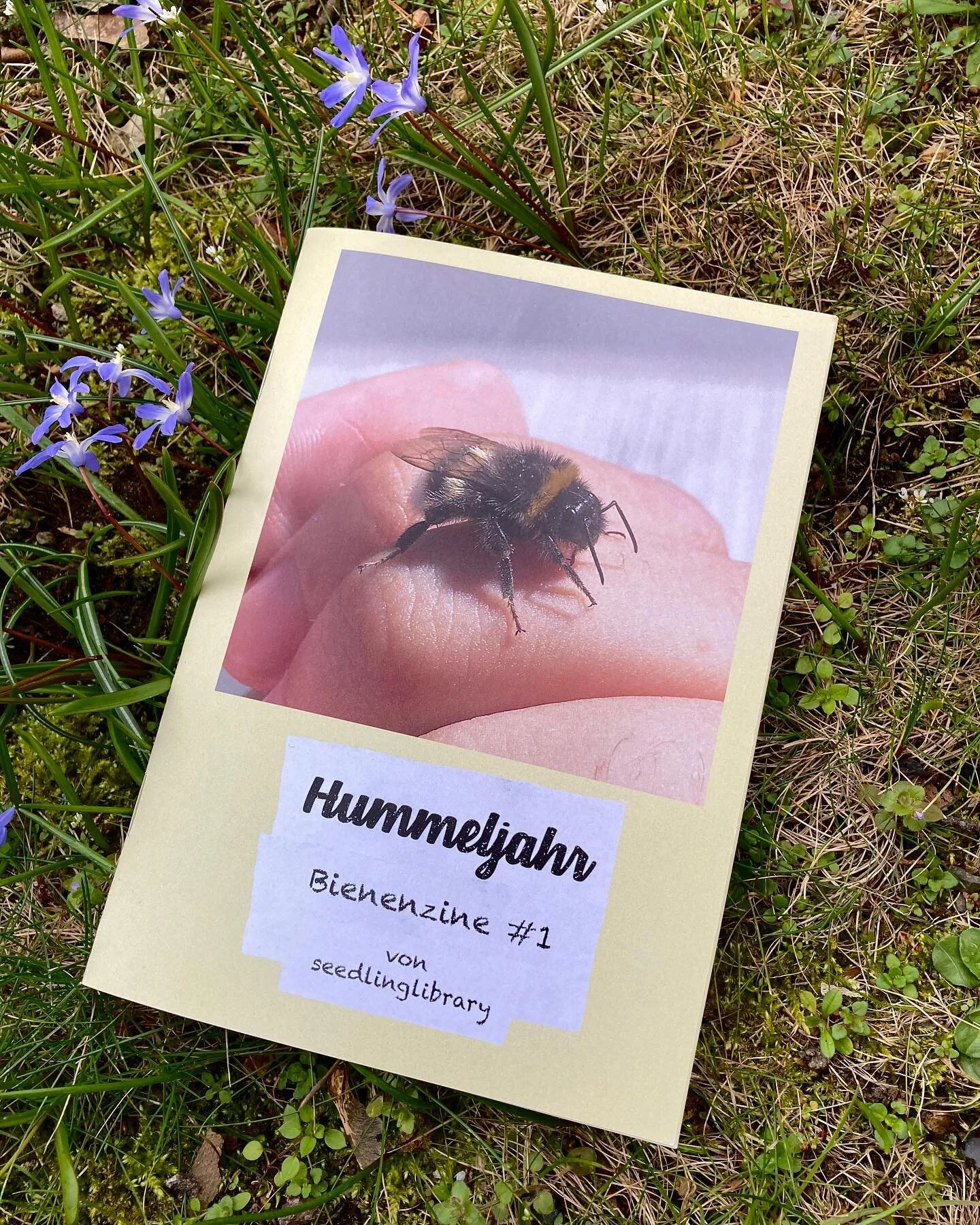 Hummeljahr (Bienenzine #1) 📆 🐝

Ein Infozine &uuml;ber den Lebenszyklus von Hummeln, mit Aufnahmen von meinem Bienenaccount @beecoven - f&uuml;r Hummelfans und alle, die es noch werden wollen 🫶🏽

My first ever zine! This educational zine about th