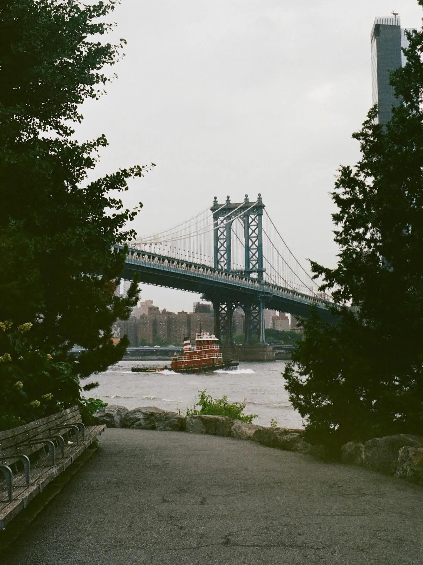 Prints available. Online or at the Live Freely Market ♡
All prints are 9 x 11 and printed on textured rag paper.