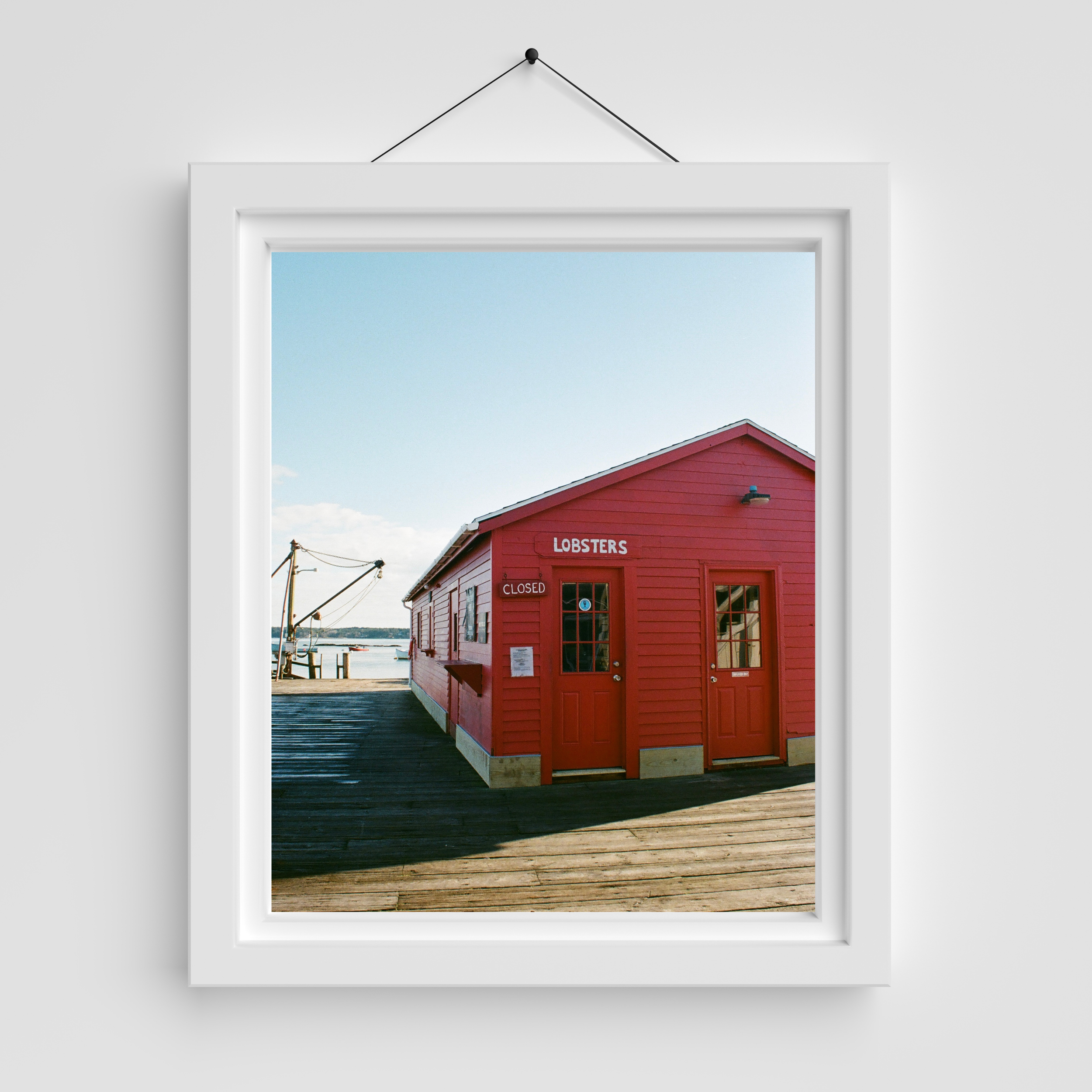 Untitled design-5.png