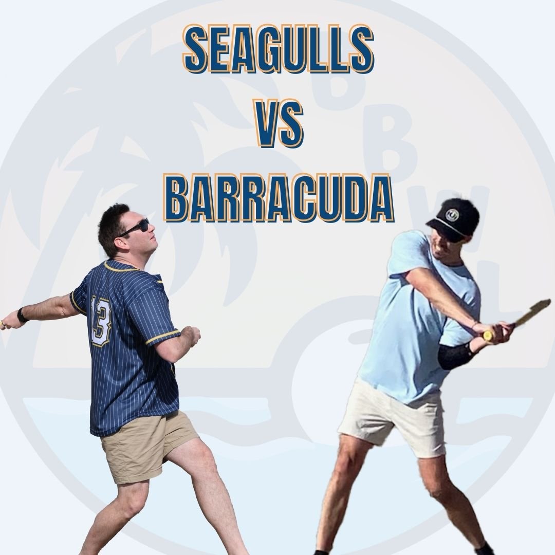BARRACUDA V SEAGULLS