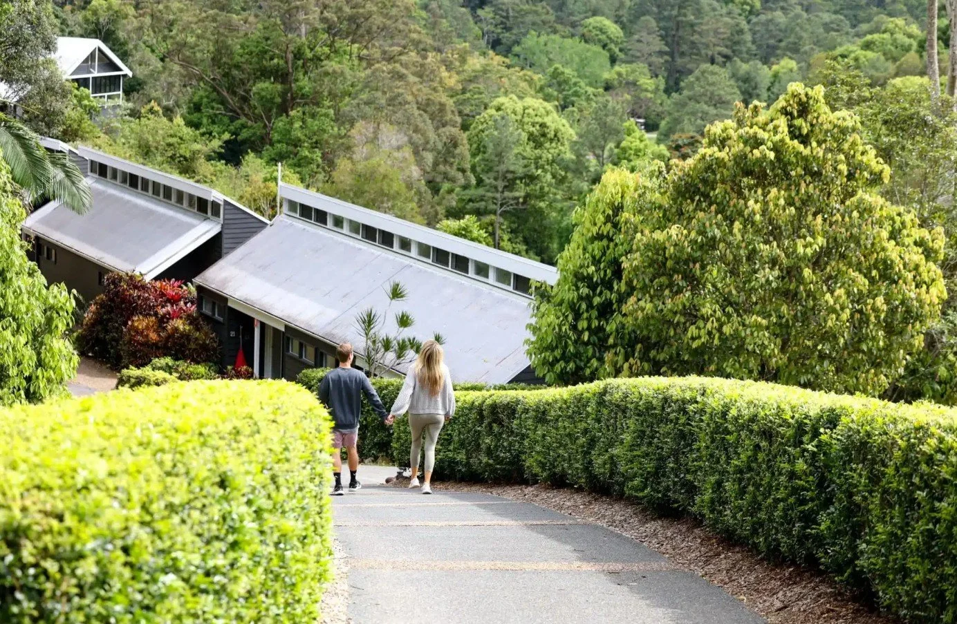 Eden 14.jpg