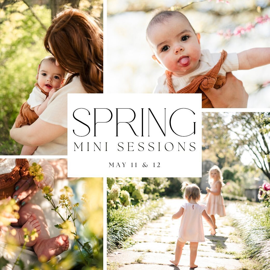 Spring Mini Sessions are now available for booking! Link in bio 👆🏼
🌸 One weekend only &mdash; Sat May 11 &amp; Sun May 12
🌷 Relaxed portrait session at Mellon Park
🌼 Bring your little ones &amp; your pets
🌷 The perfect gift for Mother&rsquo;s D
