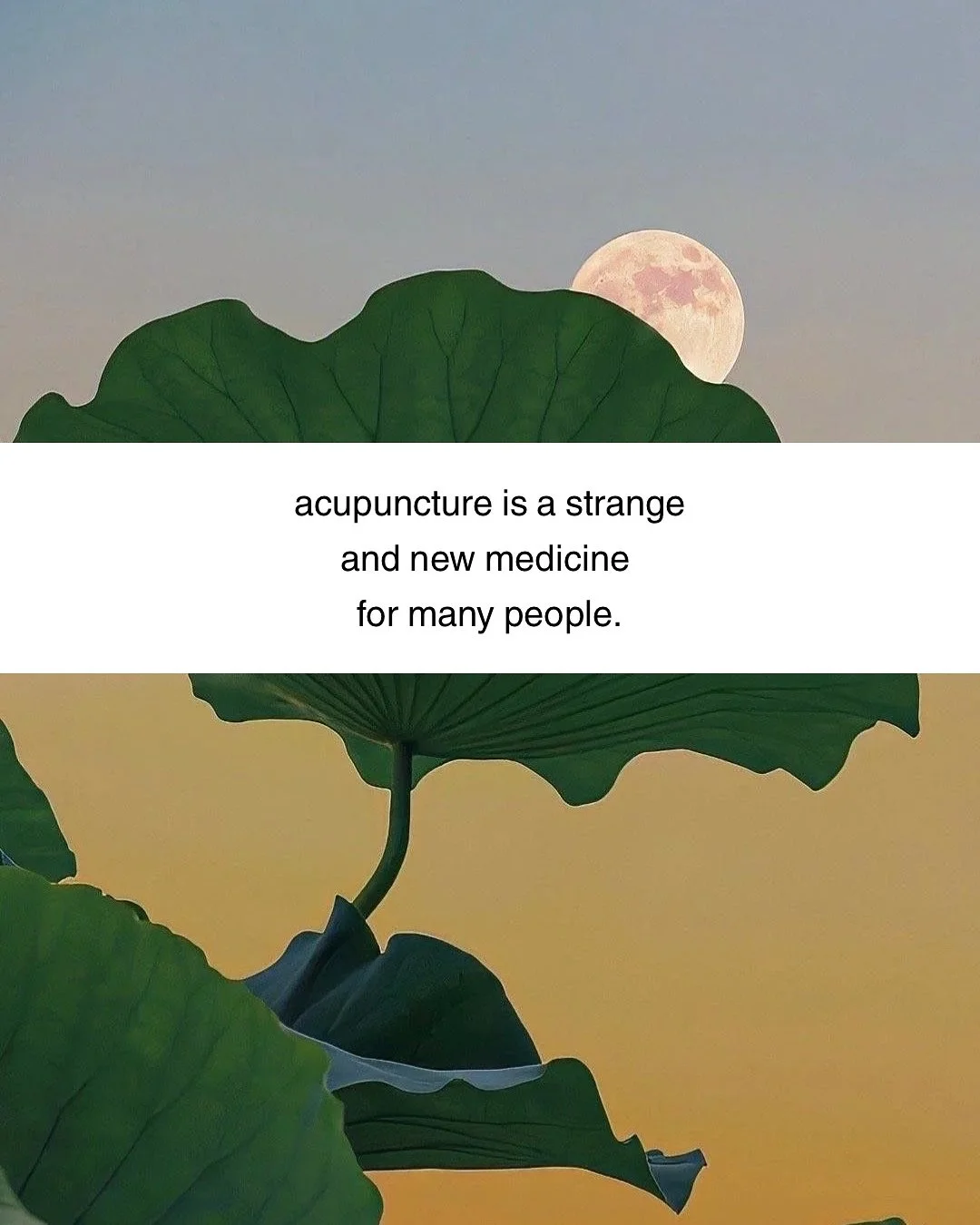 your questions are IMPORTANT to me 🩶 
i want to hear them.
i’m available for them.
there’s so much about acupuncture that feels foreign & unknown. so ask the questions that are holding you back. this medicine is wild & everyon