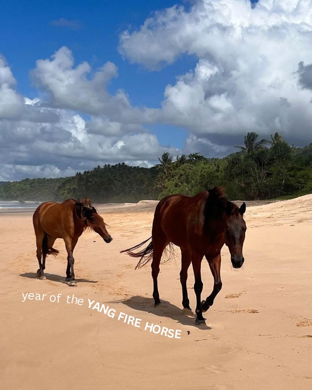 welcome to the year of the YANG FIRE HORSE 

the year of 
YANG on YANG 
/ 
FIRE on FIRE ; 
with some gentle reverent emerging yin. 

tread carefully &amp; with open hearts. 

&bull;

acknowledging CT Holman for this prediction ❤️&zwj;🔥