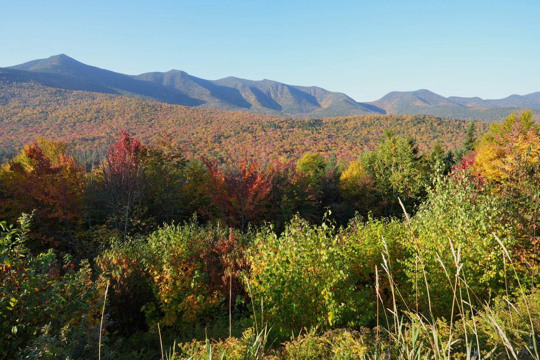 mountains wide nic small.jpg