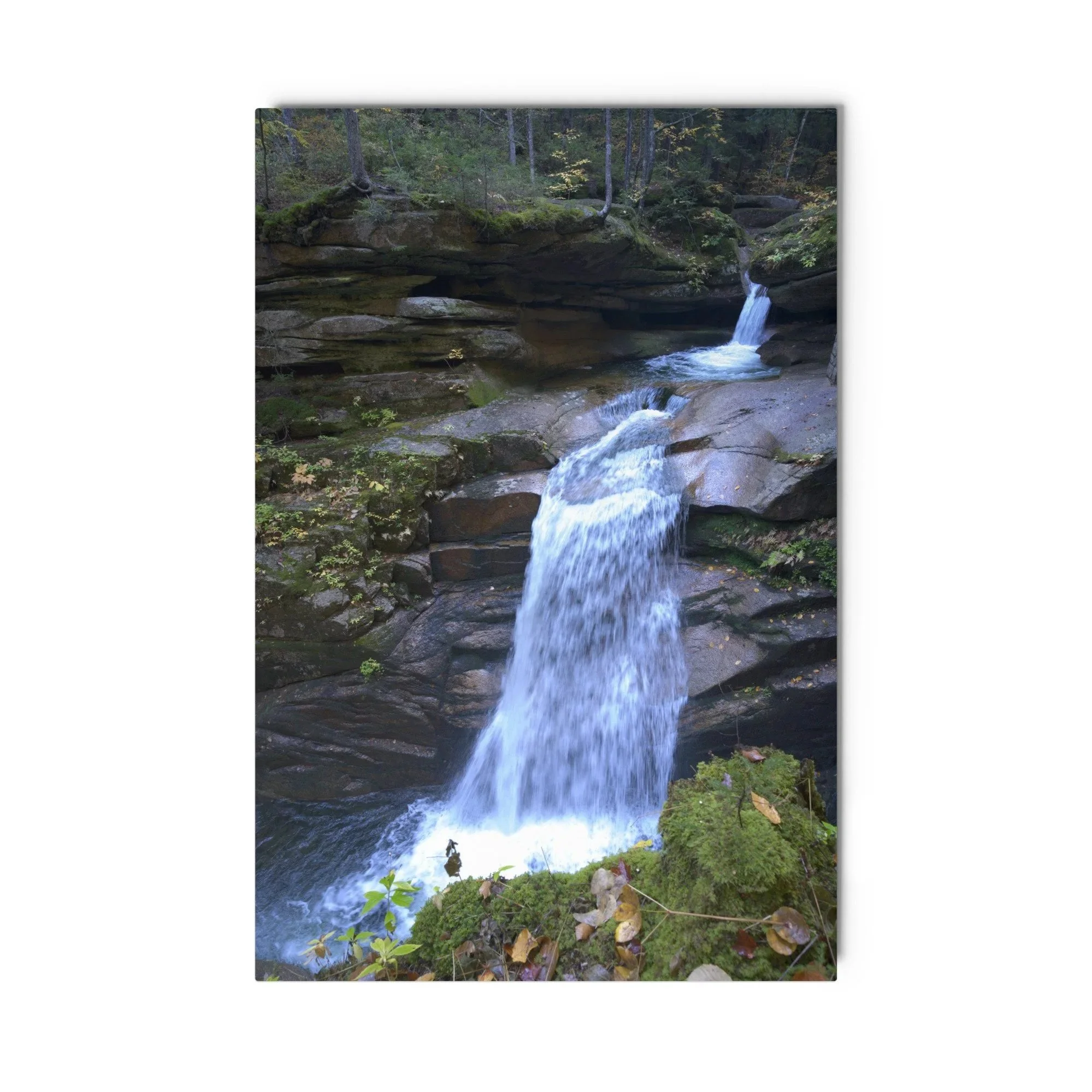 glossy-metal-print-%28in%29-white-24x36-front-6ac10f78c7897.jpg