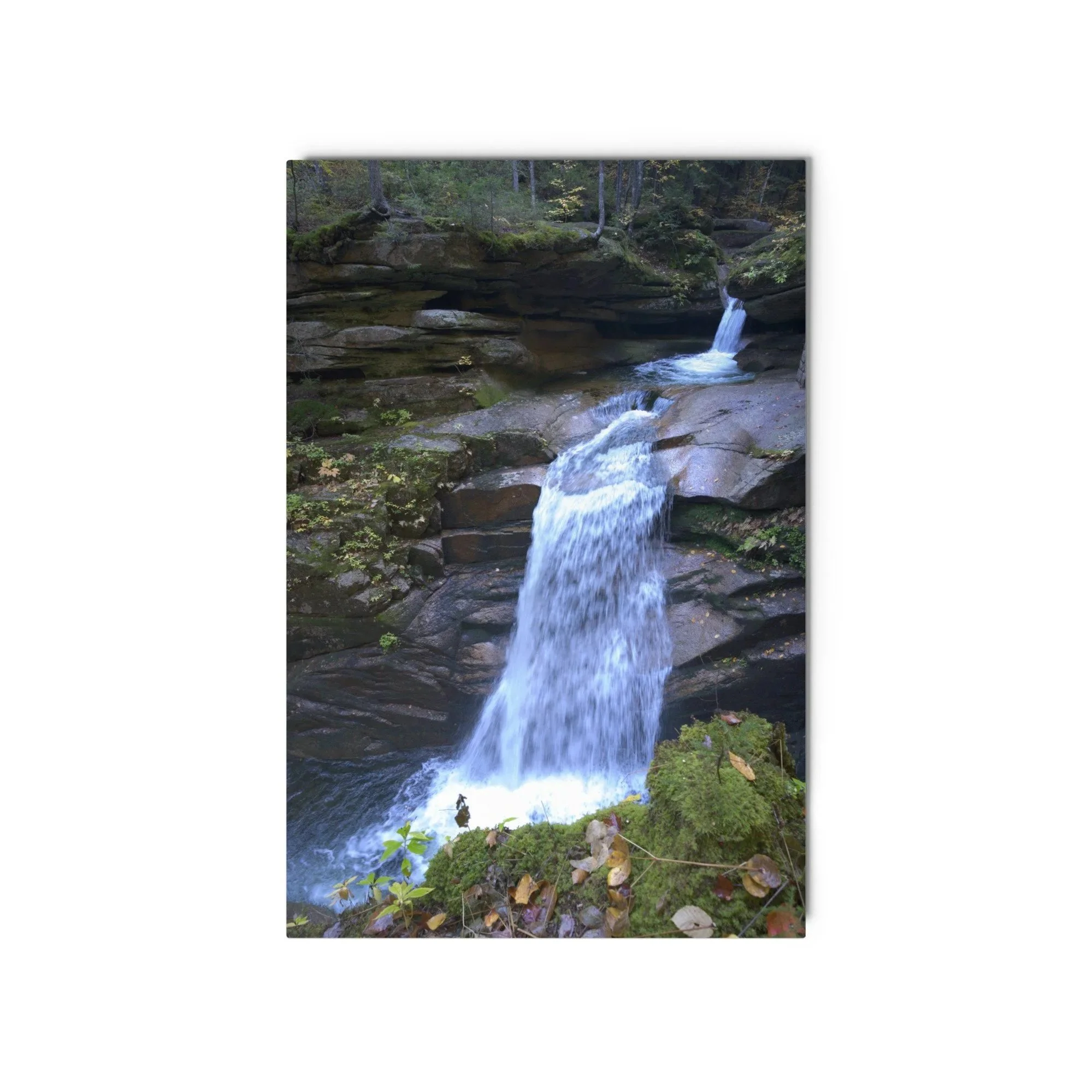 glossy-metal-print-%28in%29-white-20x30-front-6ac10f78c7e73.jpg