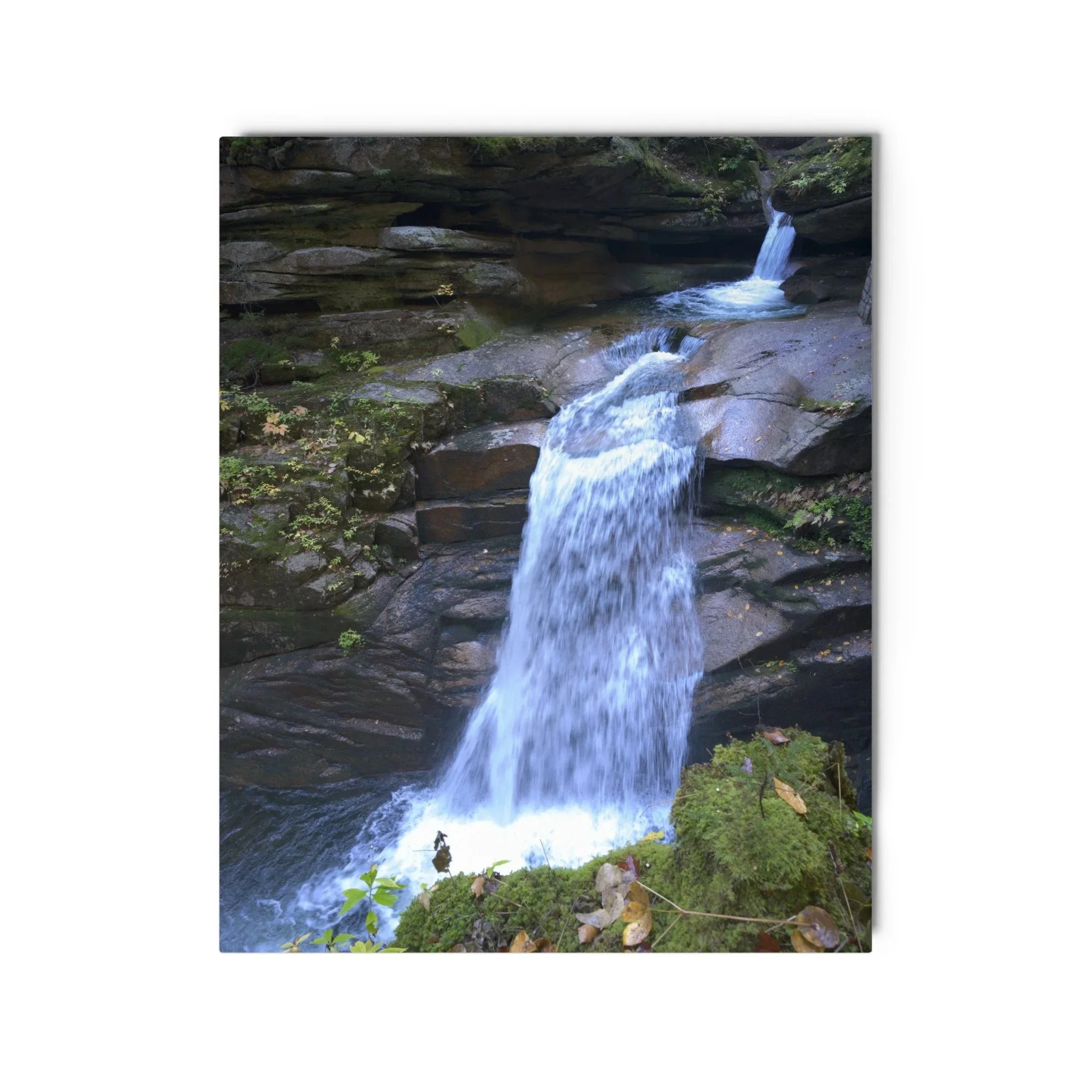 glossy-metal-print-%28in%29-white-16x20-front-6ac10f78c7e49.jpg