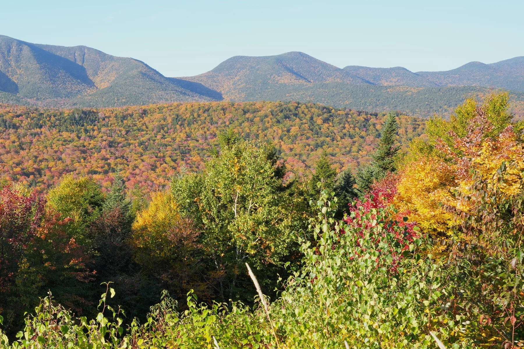 mountains wide nic crop4.jpg