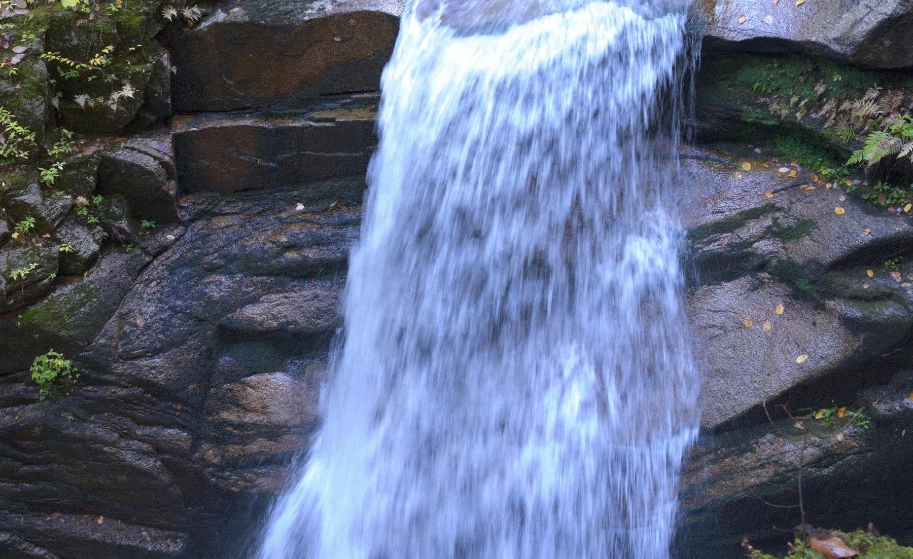 slow shutter water fall better crop 2.jpg