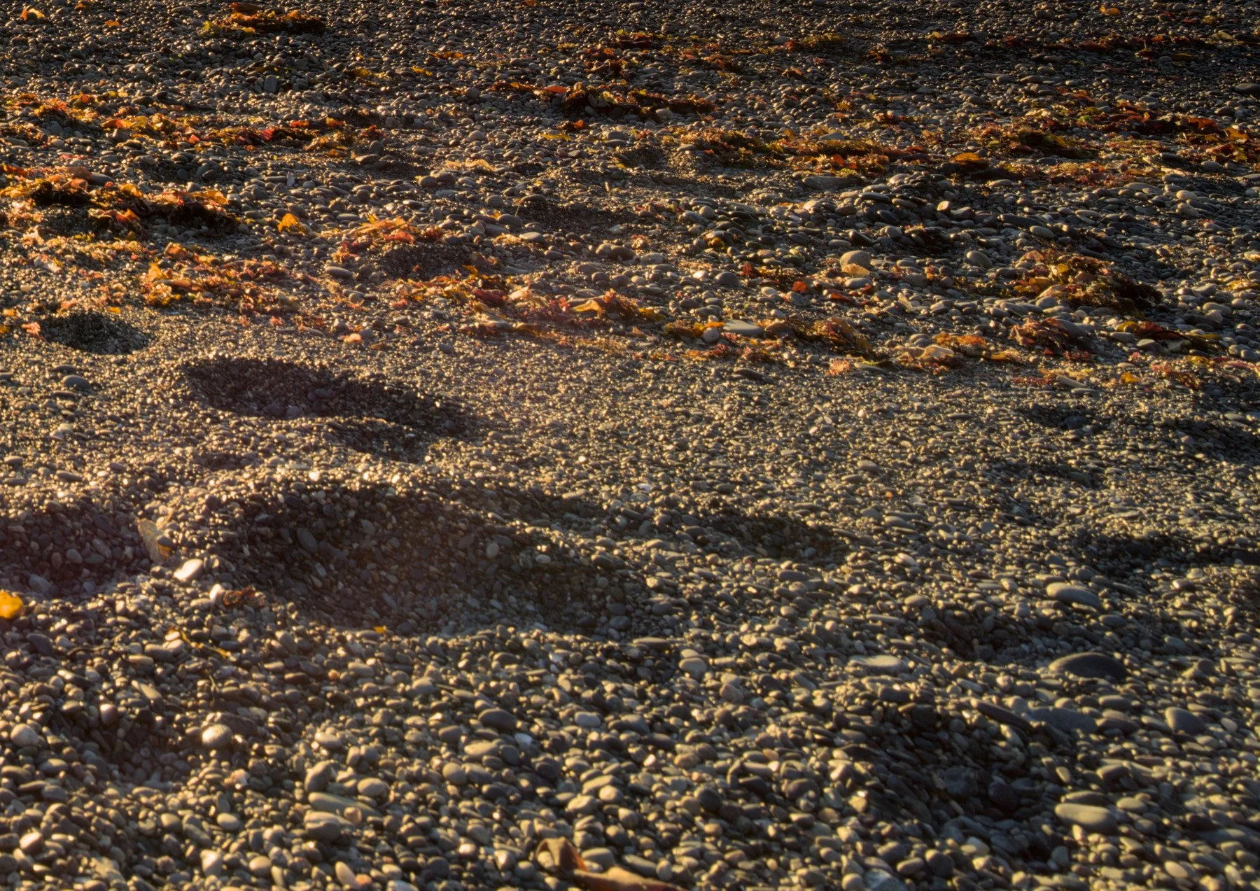 low and far2 crop3.jpg
