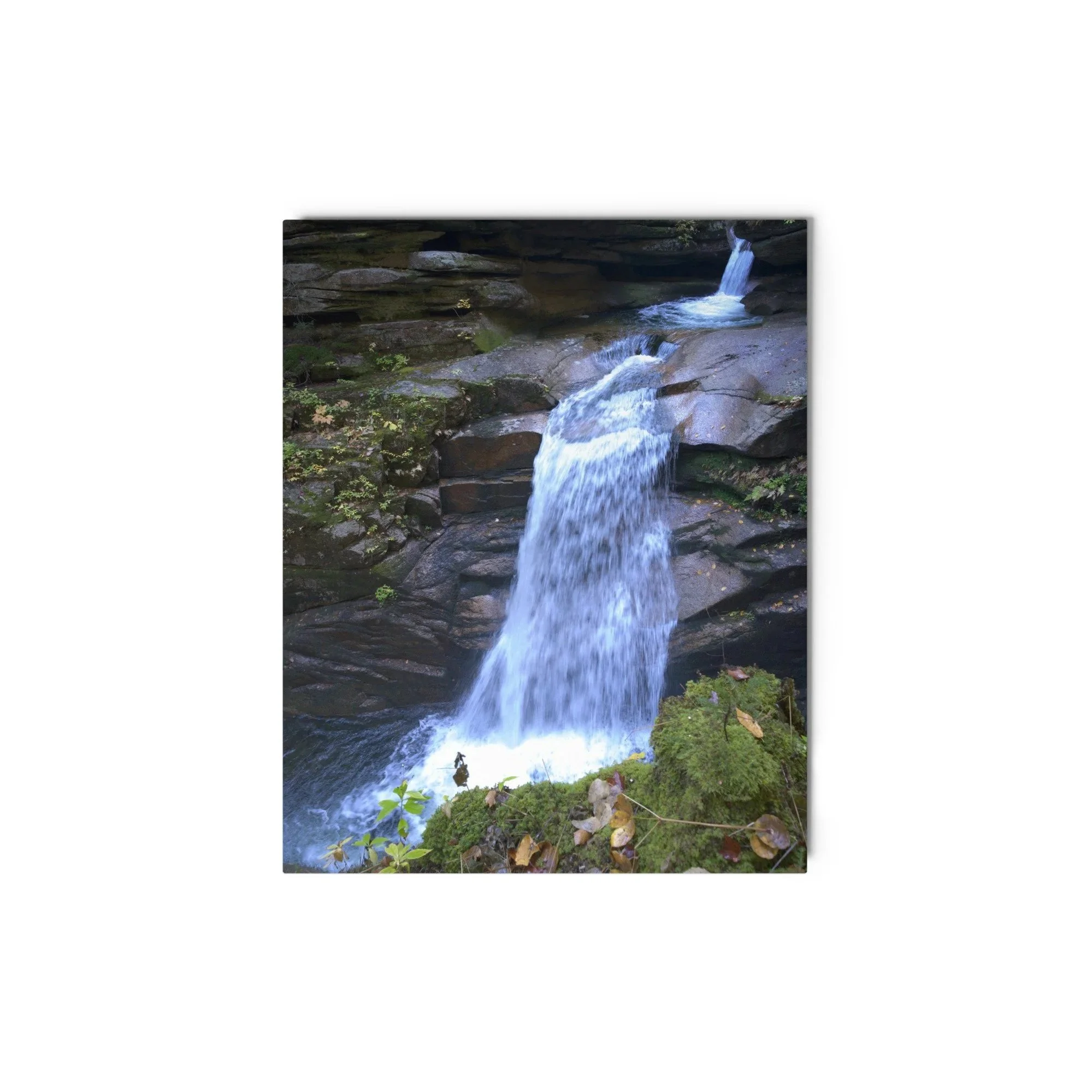 glossy-metal-print-%28in%29-white-8x10-front-6ac10f78c7da2.jpg