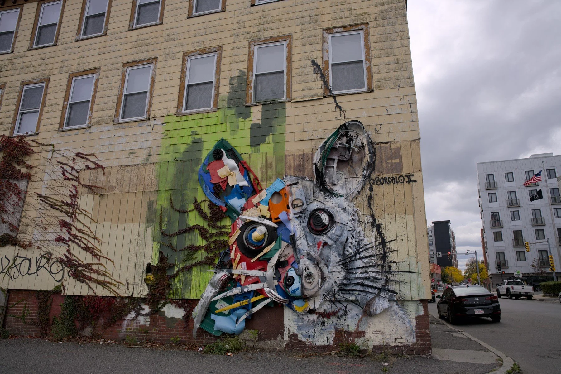rat face2 low res.jpg