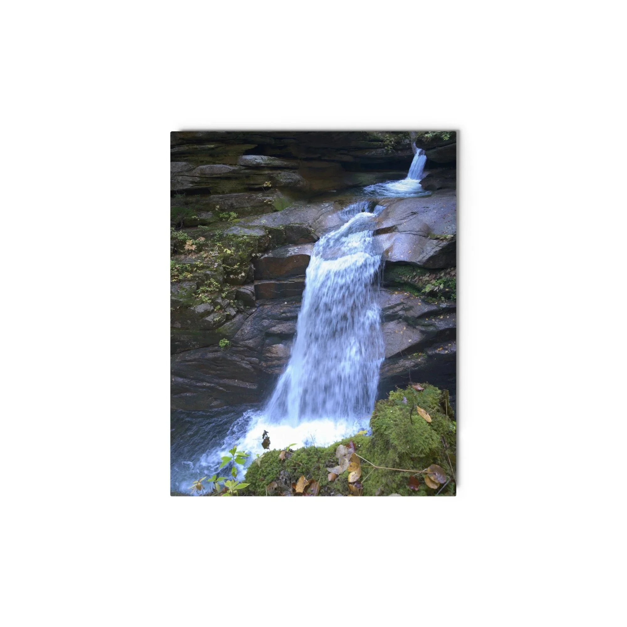 glossy-metal-print-%28in%29-white-11x14-front-6ac10f78c7dea.jpg