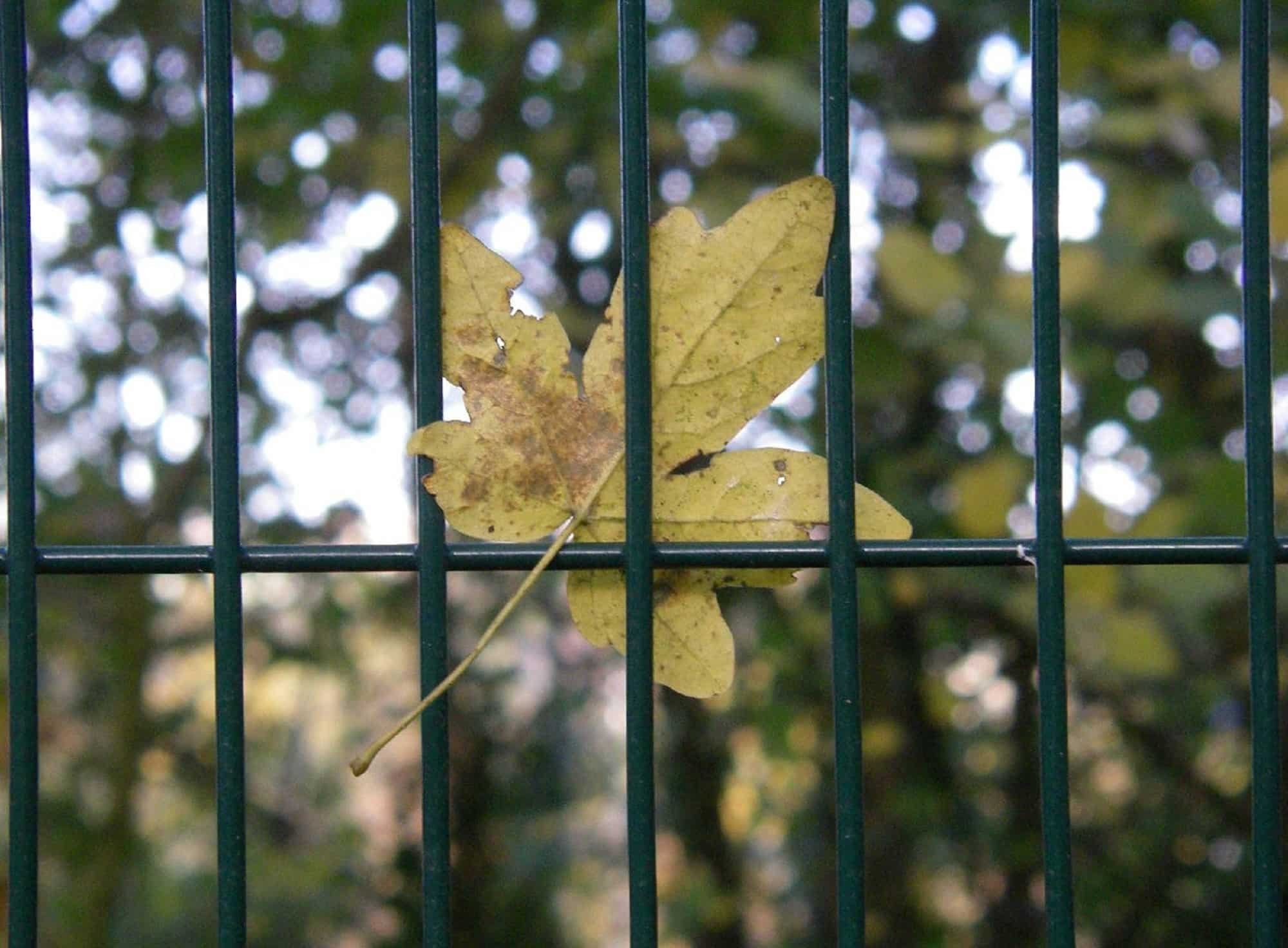 Why You Feel Stuck Even When You’re Doing Everything ‘Right’