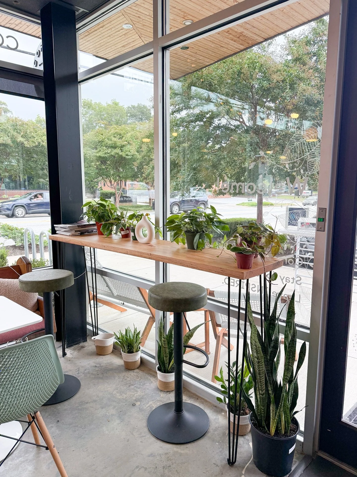 SURPRISE 🌿 We now have a small selection plants available for purchase at @canvas.coffee.art on Stone Ave. in Greenville! Grab a coffee, check out the art, and take home something green. 🤍