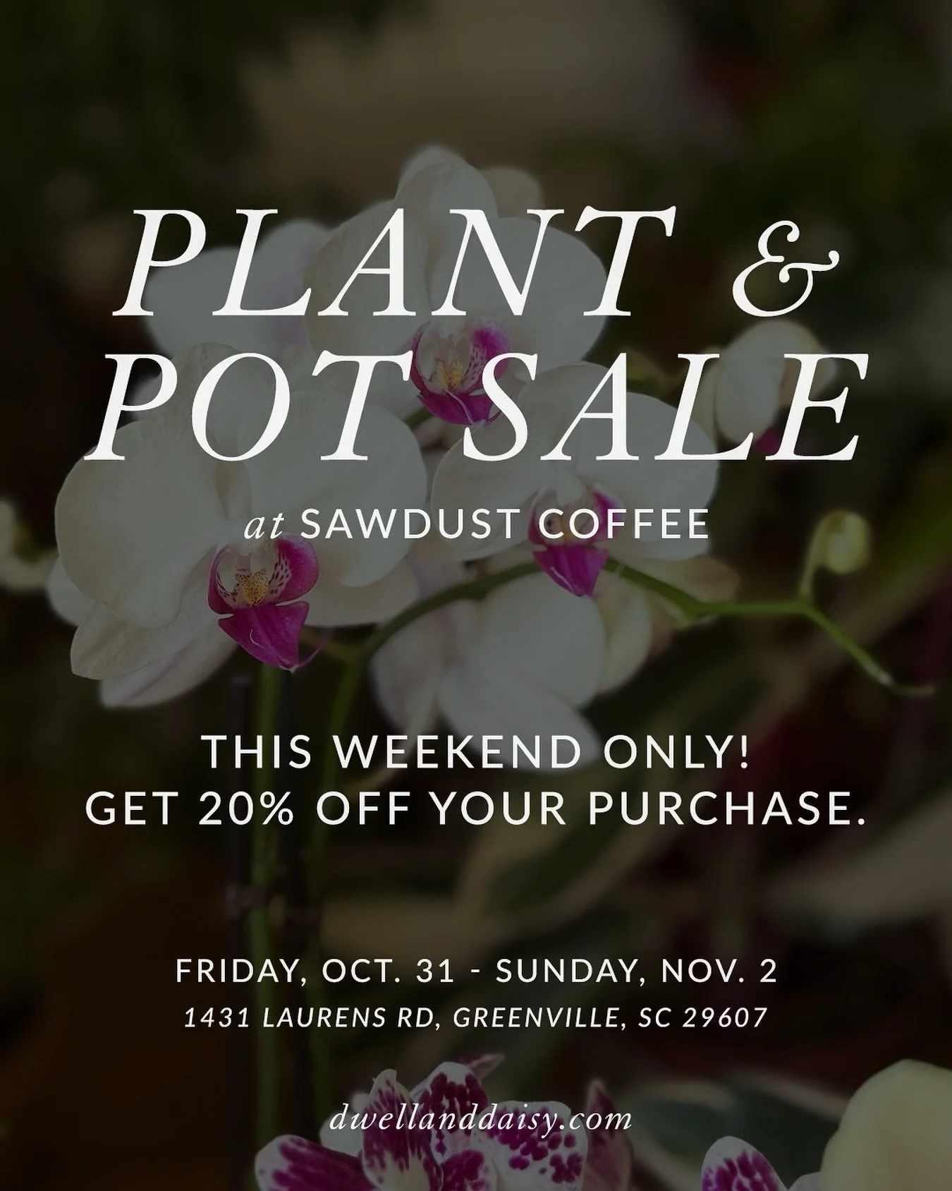 SALE 🪴 Get 20% off on plants and pots this weekend only, Oct. 31-Nov. 2, at @sawdust_coffeeshop! This is a deal you don’t want to miss! And you might as well treat yourself to a latte while you’re at it. 😉