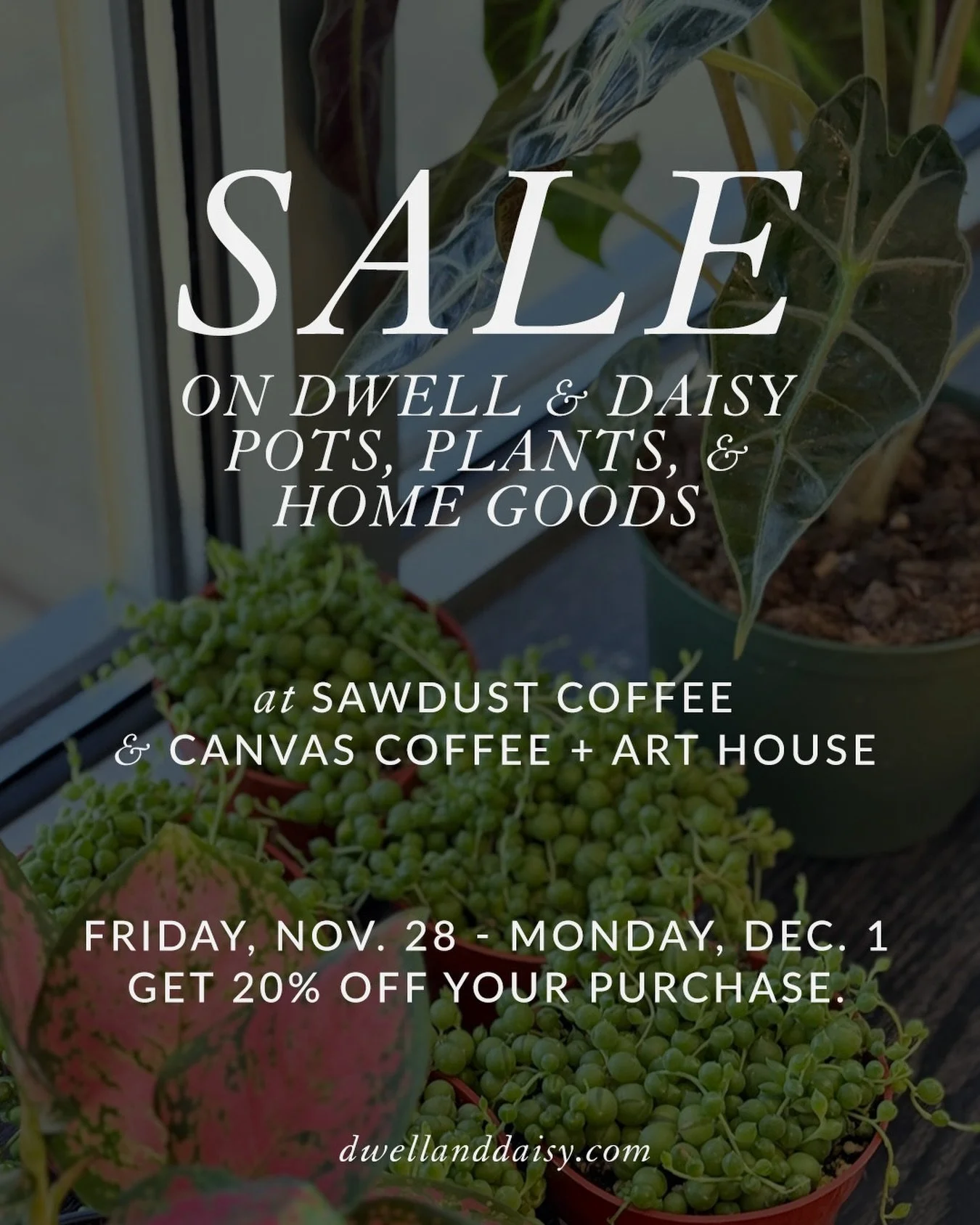 SALE 🪴 We&rsquo;re celebrating YOU with a 20% off sale on plants, pots, and home goods from Friday, November 28, to Monday, December 1, at @sawdust_coffeeshop and @canvas.coffee.art. This is a small way for us to say we&rsquo;re thankful for each of