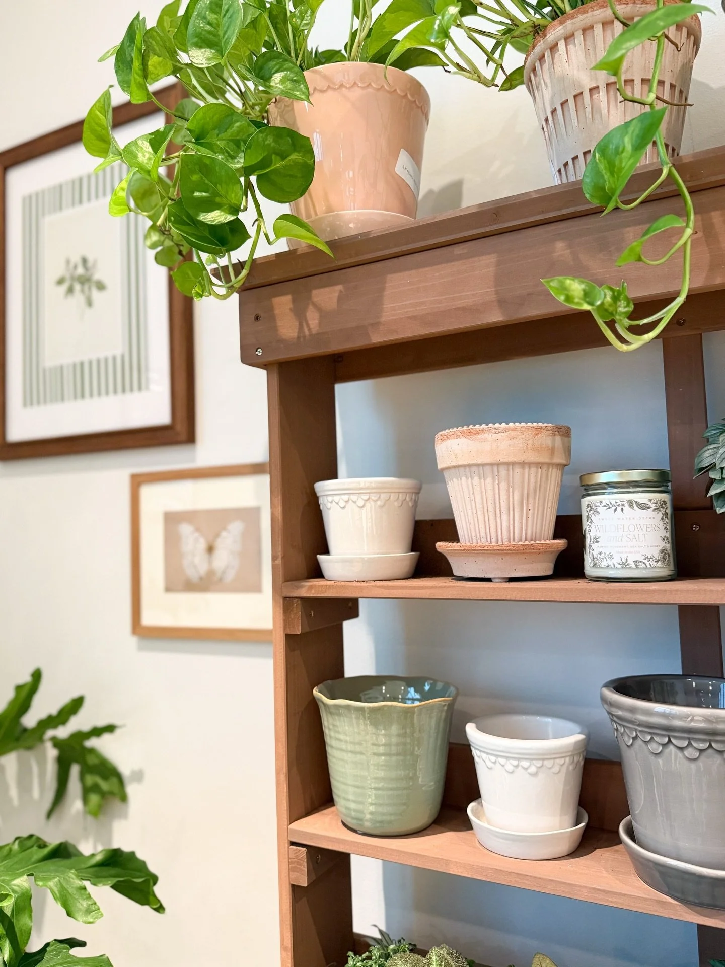 A plant makes the perfect gift. We know from experience. 😉