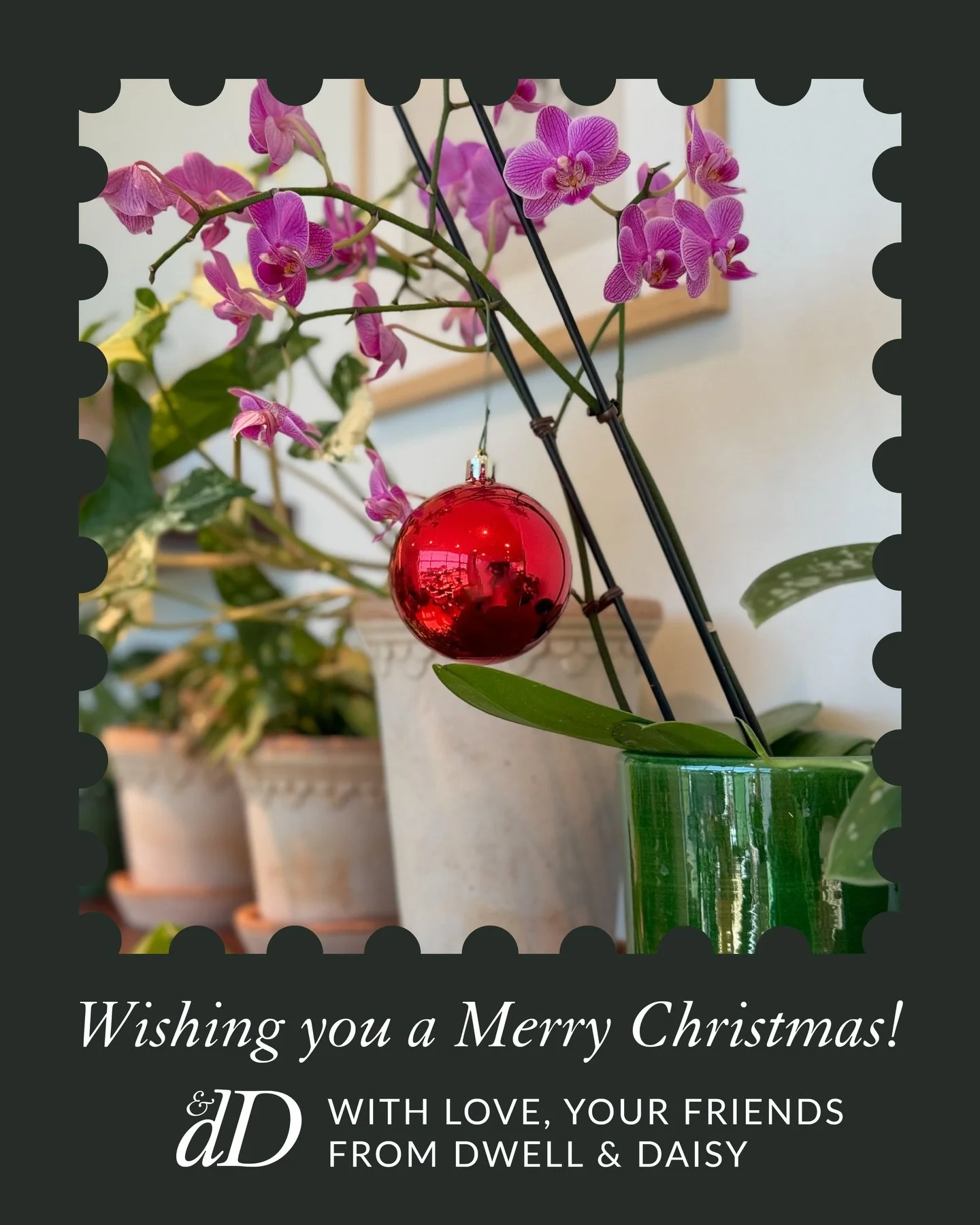 Wishing you a very Merry Christmas from Dwell and Daisy! We hope your day is filled with joy, love, and peace as we celebrate the coming of our Savior. With love, Asher and Carlee 🎄