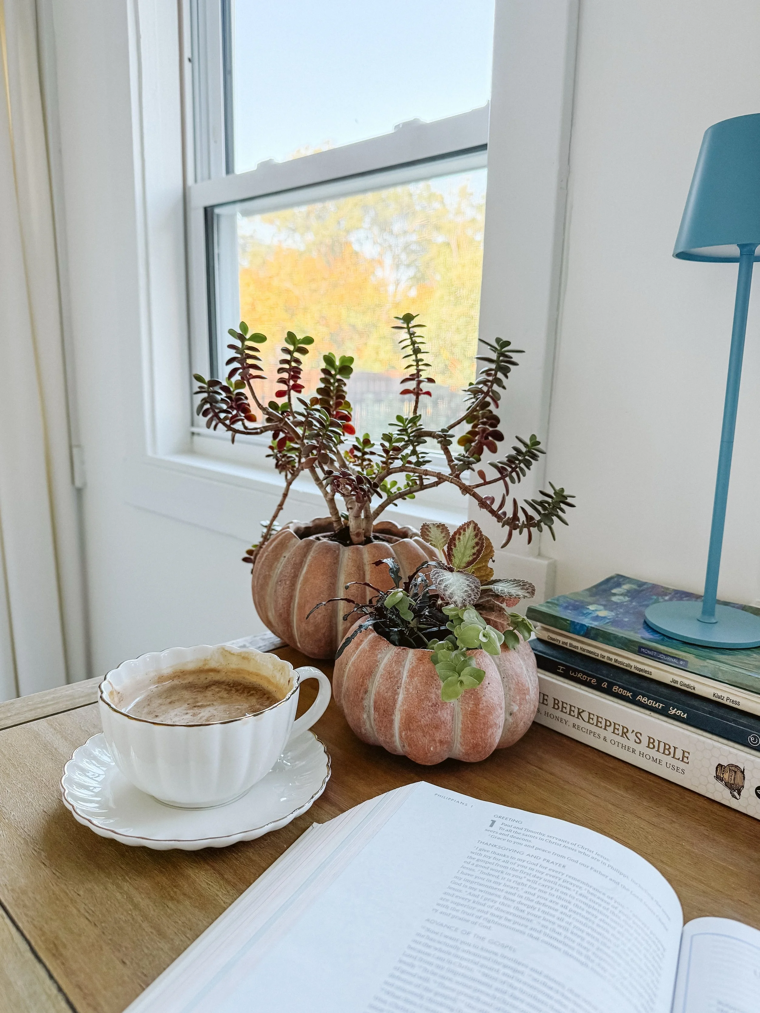 Fall light, a latte, and plants that make any space feel like home. 🍂